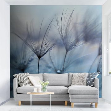 Bilderdepot24 Fototapete Blumen Blaue Federn Regen Blumentapete Floral Natur Modern Kunst, Glatt, Matt, (Vliestapete inkl. Kleister oder selbstklebend), Wohnzimmer Schlafzimmer Küche Flur Motivtapete Vliestapete Wandtapete