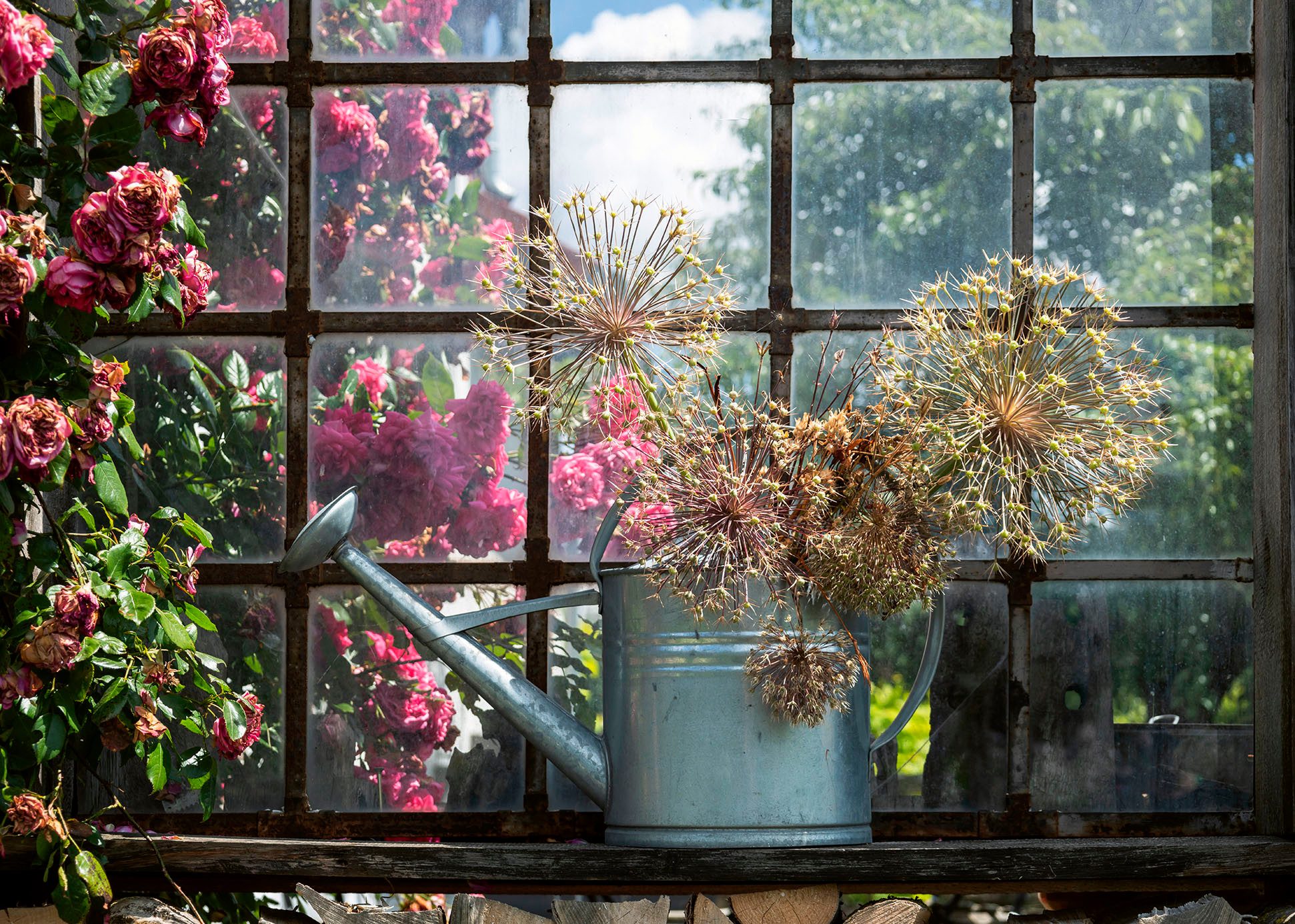 Ravensburger Puzzle Getrockneter Allium in der Gießkanne, 1000 Puzzleteile, günstig online kaufen