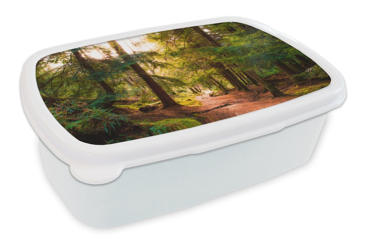 MuchoWow Lunchbox Wald - Weg - Bäume - Grün - Sonne - Natur, Kunststoff, (2-tlg), Brotbox für Kinder und Erwachsene, Brotdose, für Jungs und Mädchen weiß