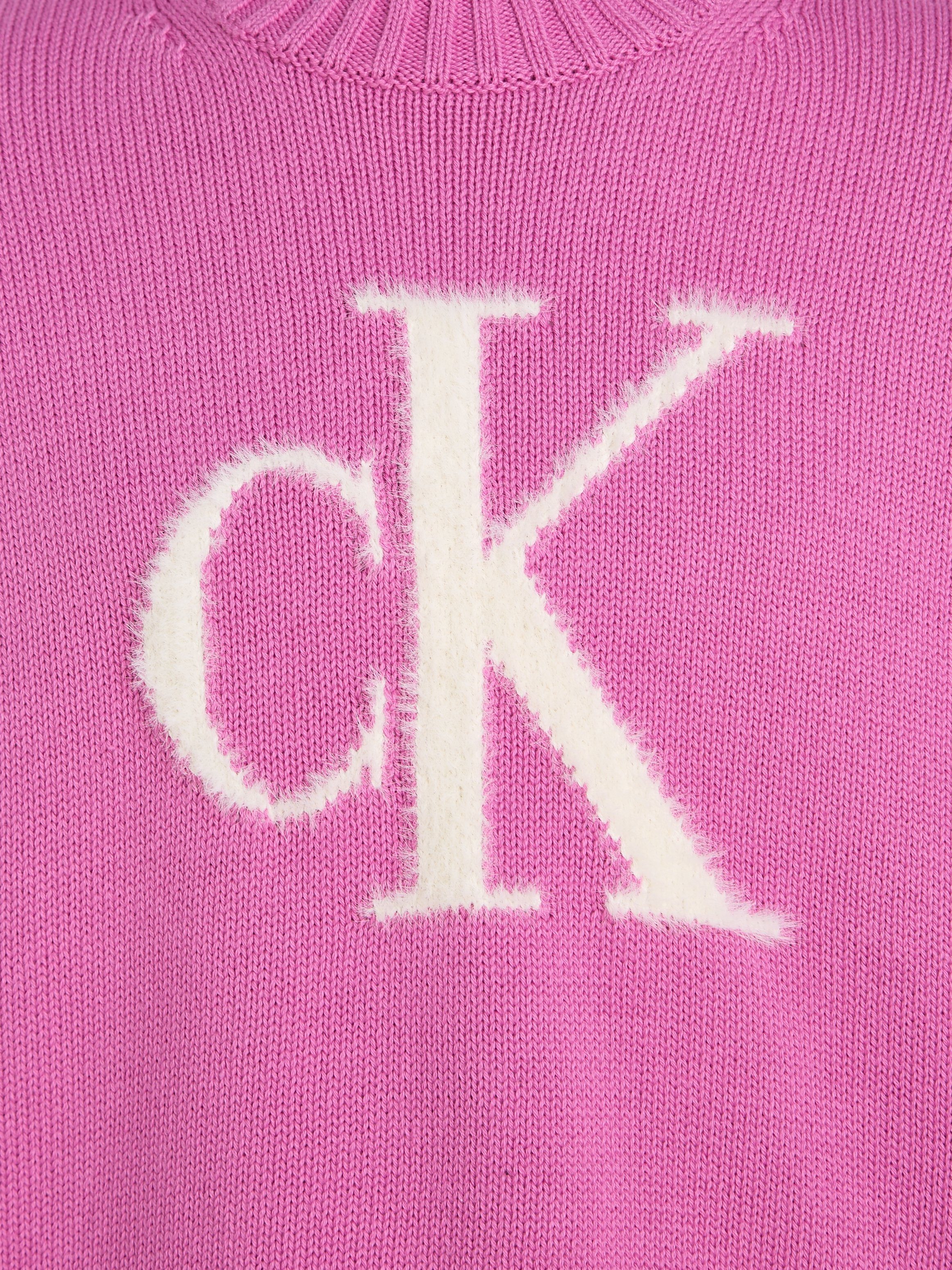 FLUFFY Jeans Rundhalspullover SWEATER Klein MONOGRAM Calvin