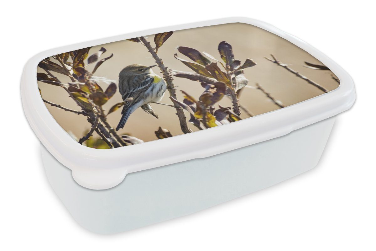 MuchoWow Lunchbox Vogel zwischen einem Zweig mit Blättern, Kunststoff, (2-tlg), Brotbox für Kinder und Erwachsene, Brotdose, für Jungs und Mädchen weiß