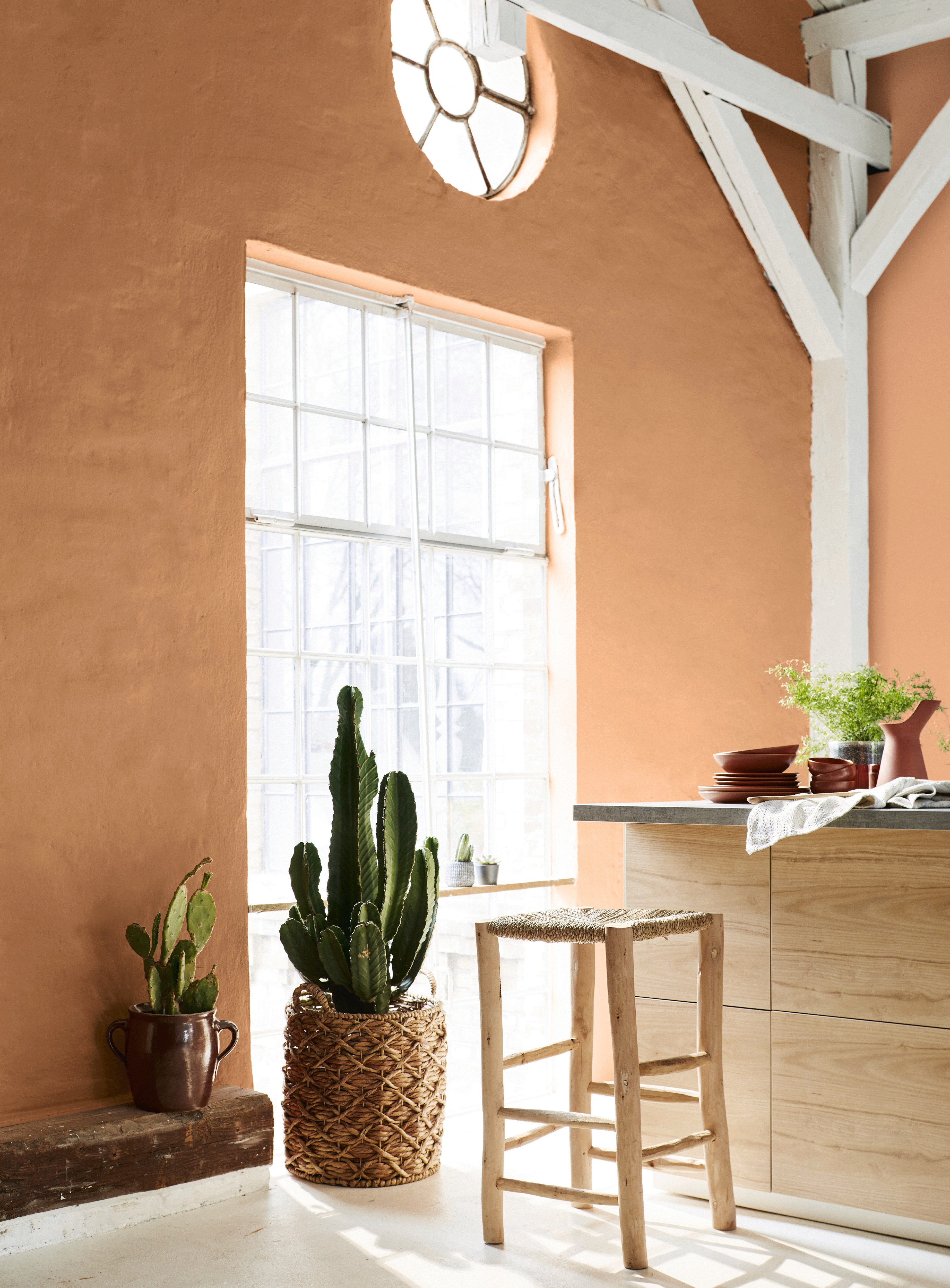 Alpina Wandfarbe Alpina Feine Farben + Gratis Rührstab