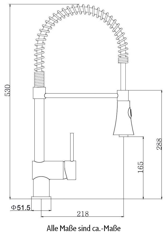 PALERMO 2 mit Geschirrbrause Spiralfeder, Strahlvarianten Küchenarmatur ausklickbar VEROSAN