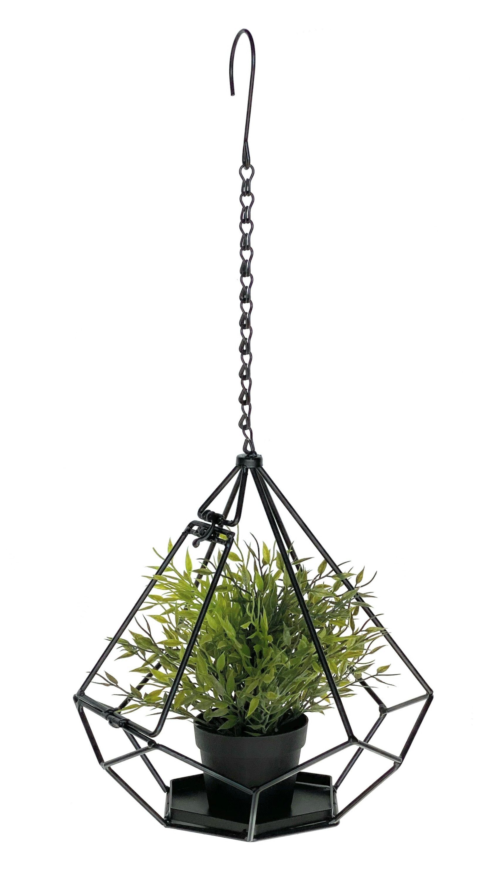 DanDiBo Blumenampel Innen Metall Wand Hängepflanzen günstig online kaufen