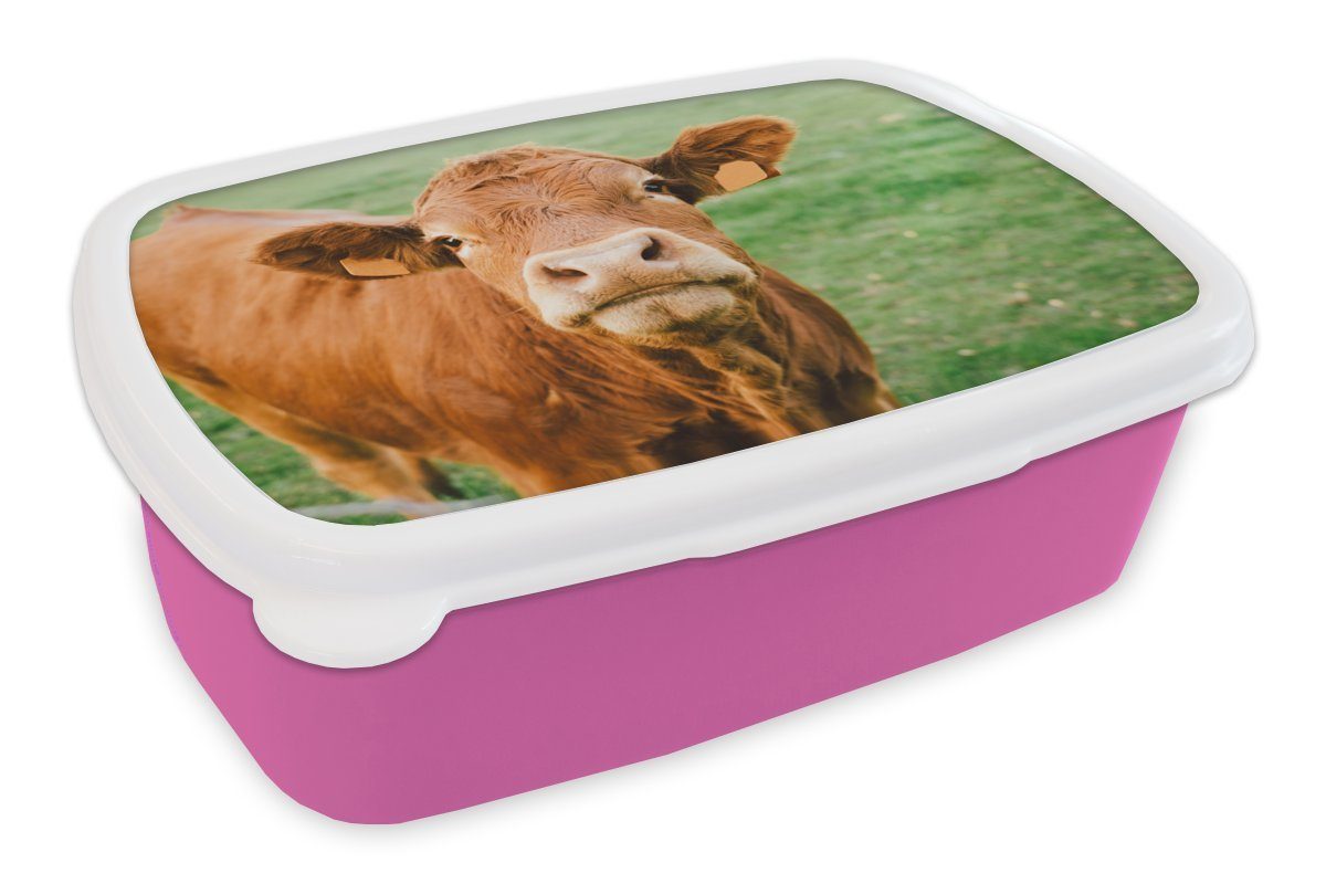 MuchoWow Lunchbox Kuh - Braun - Gras, Kunststoff, (2-tlg), Brotbox für Erwachsene, Brotdose Kinder, Snackbox, Mädchen, Kunststoff rosa