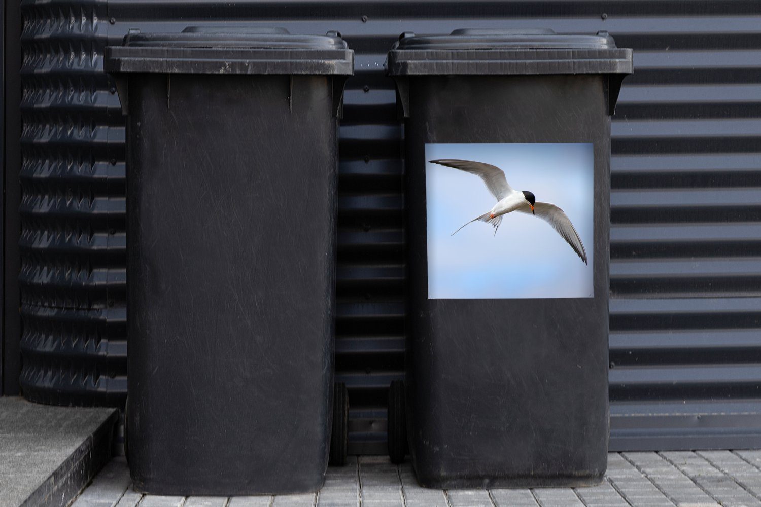Sticker, Himmel Wandsticker Abfalbehälter Eine Container, am MuchoWow Mülltonne, Weißflügelseeschwalbe blauen Mülleimer-aufkleber, (1 fliegt St),