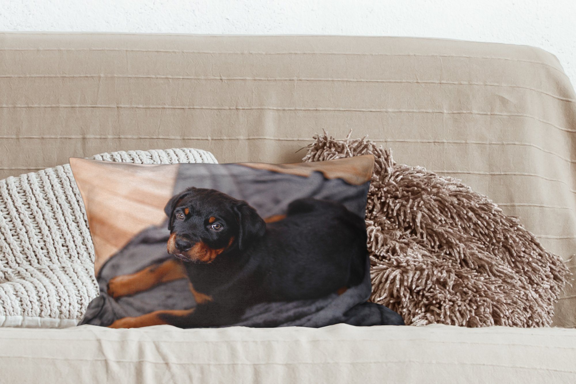 Zierkissen, schwarzen Wohzimmer Dekokissen einem Teppich, MuchoWow mit Rottweiler-Welpe Ein auf Füllung, Dekoration, Dekokissen Schlafzimmer