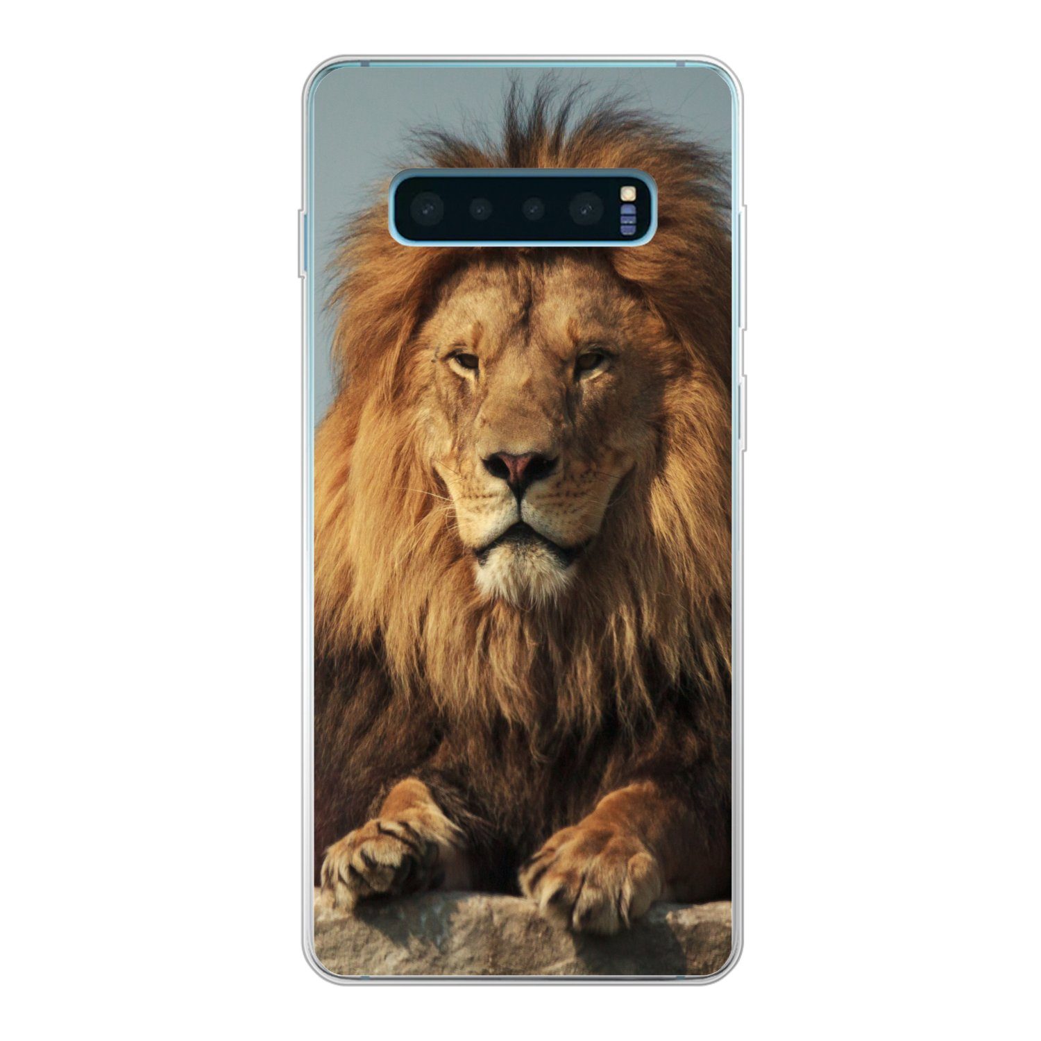 MuchoWow Handyhülle für Samsung Galaxy S10 Plus Löwe - Felsen - Porträt, Phone Case, Silikon, Schutzhülle Dünn