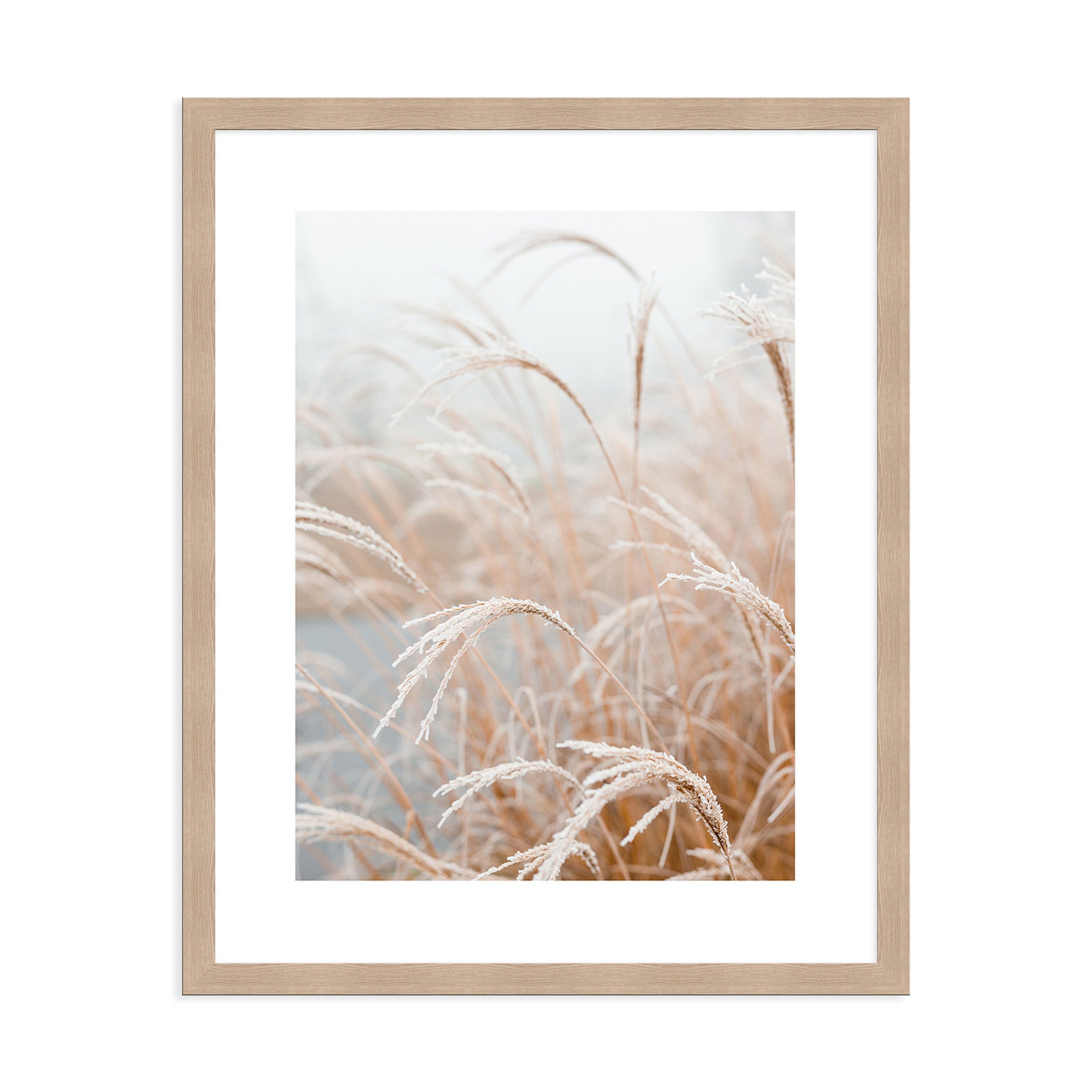 artissimo Bild mit Rahmen Gerahmtes Poster 40x50 cm / Wandbild modern / Wanddeko skandinavisch, Natur und Gräser: Dünengräser in Beige und Weiß