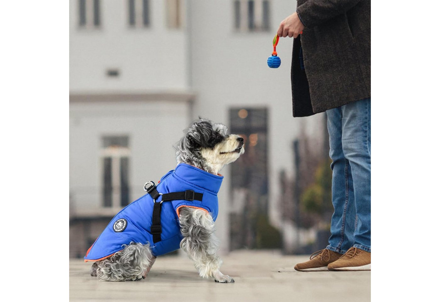 Thumbnail - RWEUOQ Hundepullover Hundemäntel mit Reißverschluss, Warme Hundejacke, Hunde Winterjacken, Winddicht Hundejacke Mit Vers...