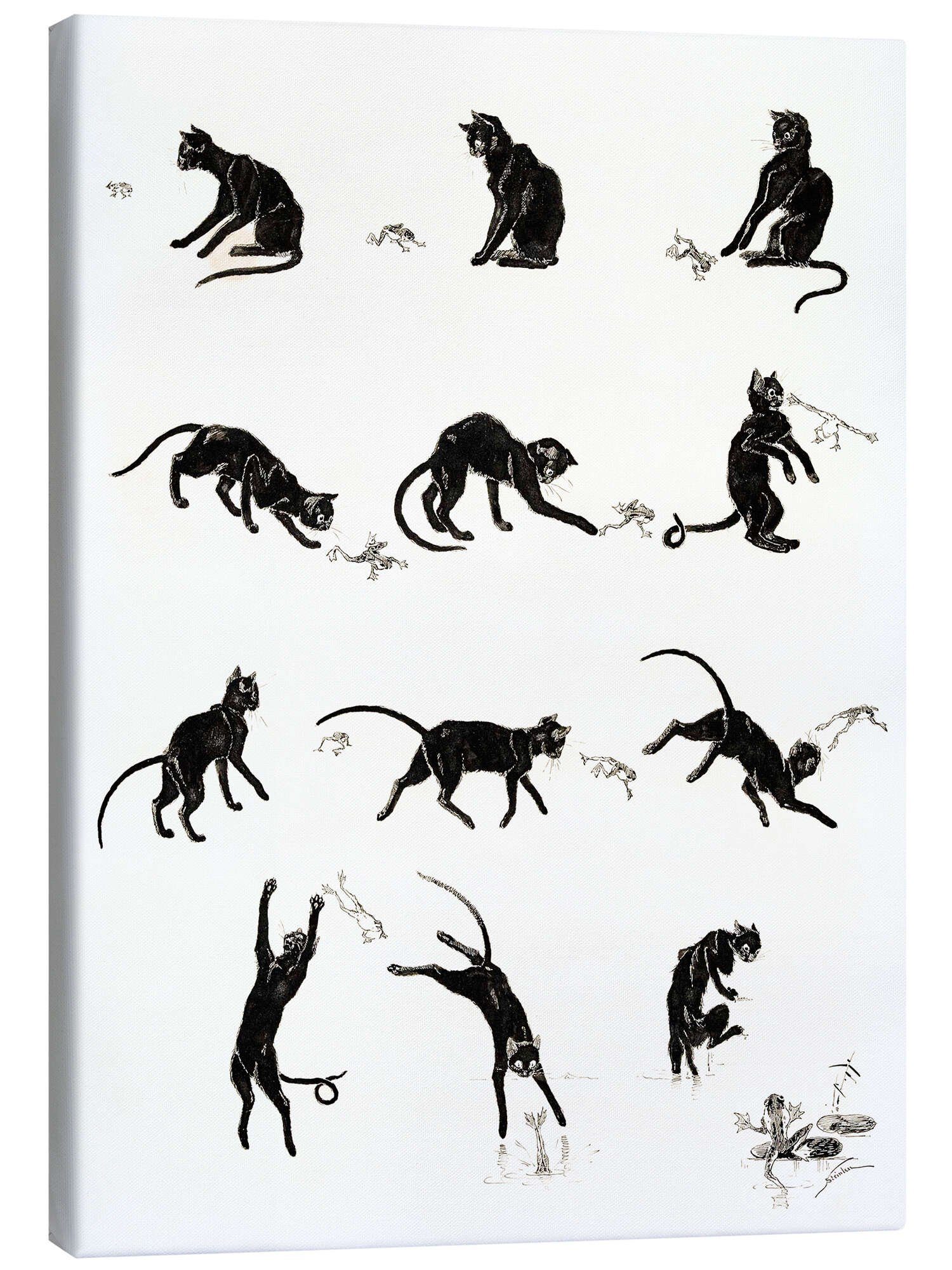 Posterlounge Wandbild Die Katze und der Frosch, Théophile-Alexandre Steinlen, erhältlich als Poster, Leinwandbild, Wandsticker oder Acrylglasbild