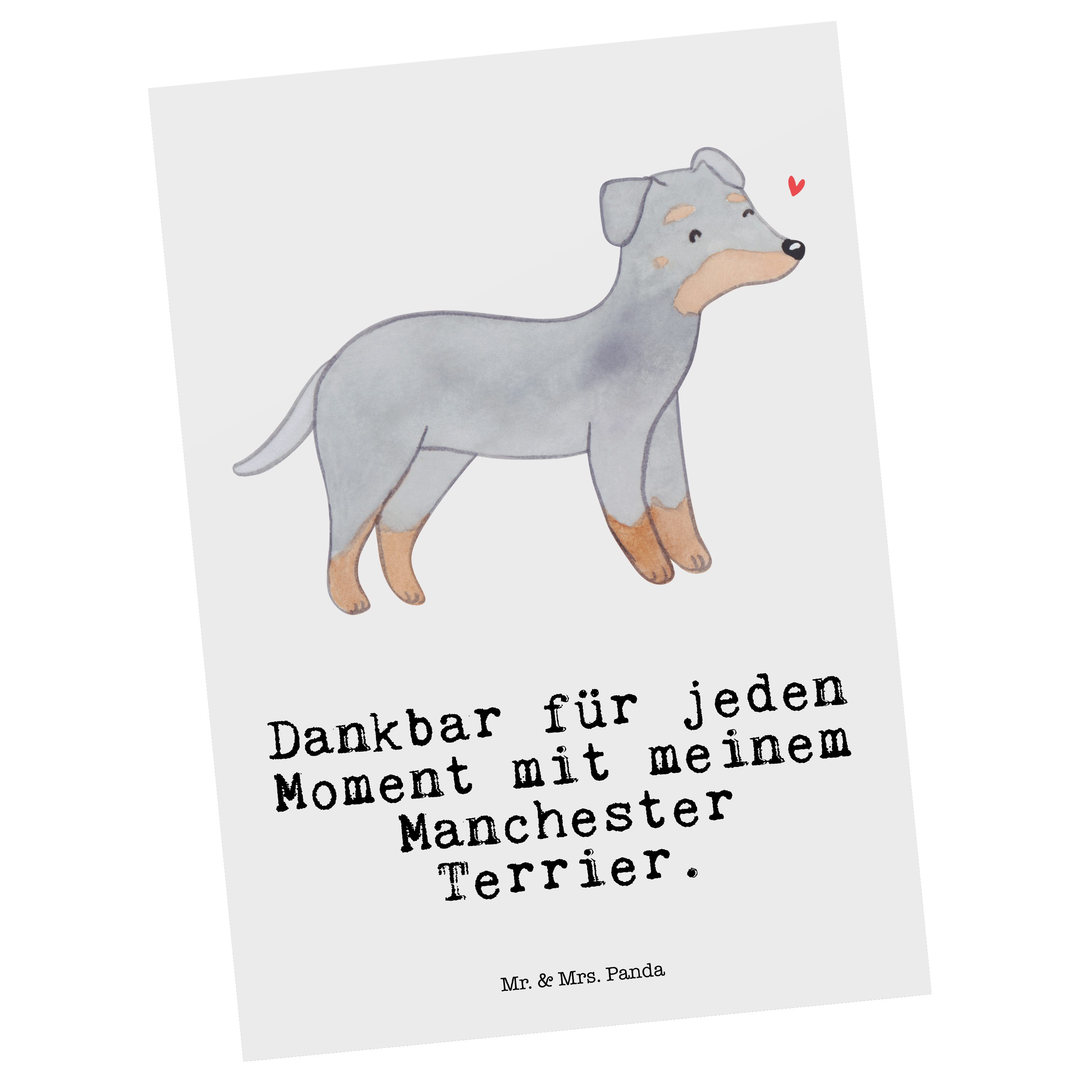 Mr. & Mrs. Panda Postkarte Manchester Terrier Moment - Weiß - Geschenk, Geburtstagskarte, Welpe