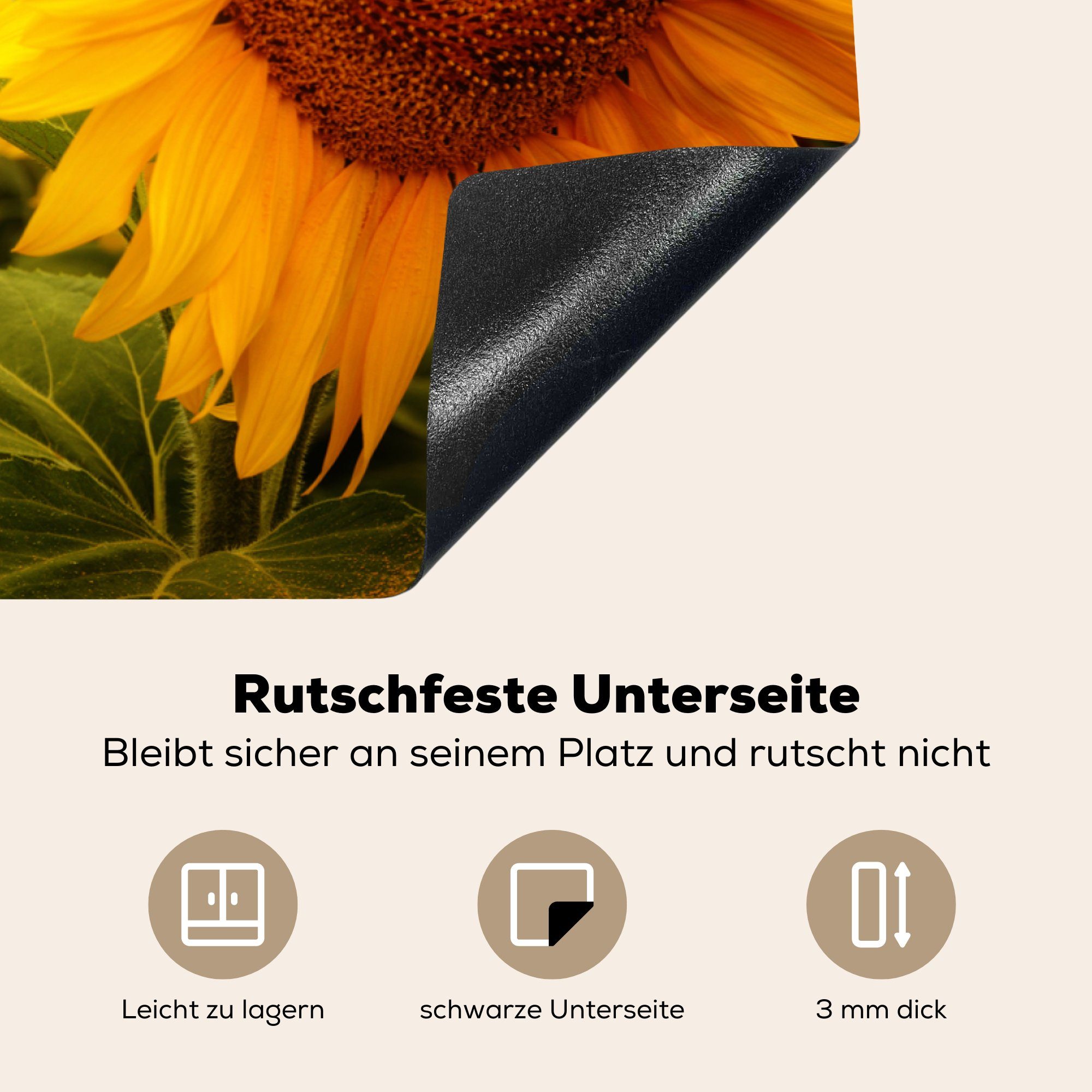 Gelb Herdblende-/Abdeckplatte 81x52 - für cm, MuchoWow Schutz Induktionskochfeld küche, (1 Blumen Ceranfeldabdeckung tlg), Sonnenblume Sonne, die Vinyl, - -