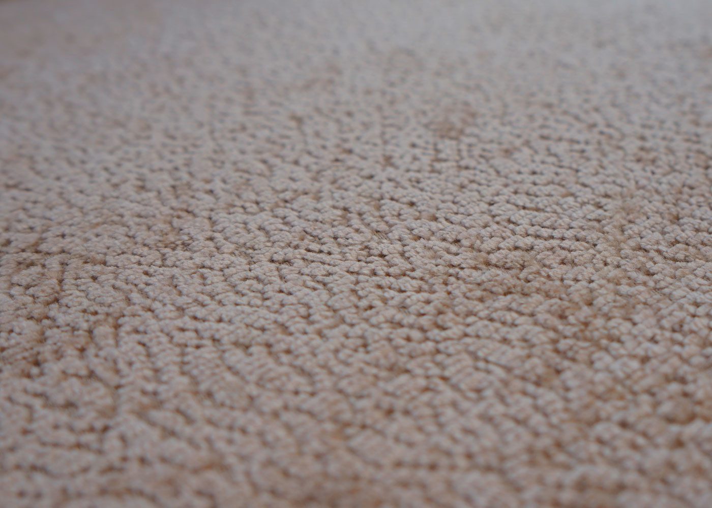 MCW Esszimmerstuhl MCW-N99-2 (2er), Mit Fußbodenschonern, Stabiles Stativgestell