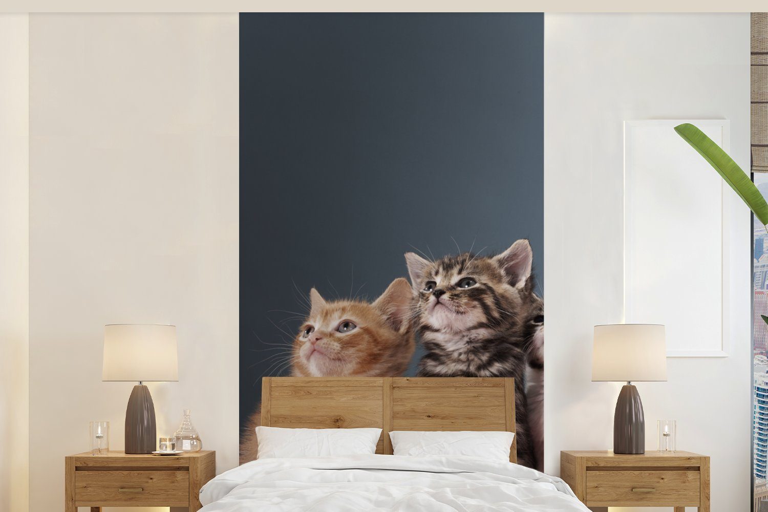 MuchoWow Fototapete Kätzchen - Blau - Rosa - Mädchen - Jungen - Kind, Matt, bedruckt, (2 St), Vliestapete für Wohnzimmer Schlafzimmer Küche, Fototapete