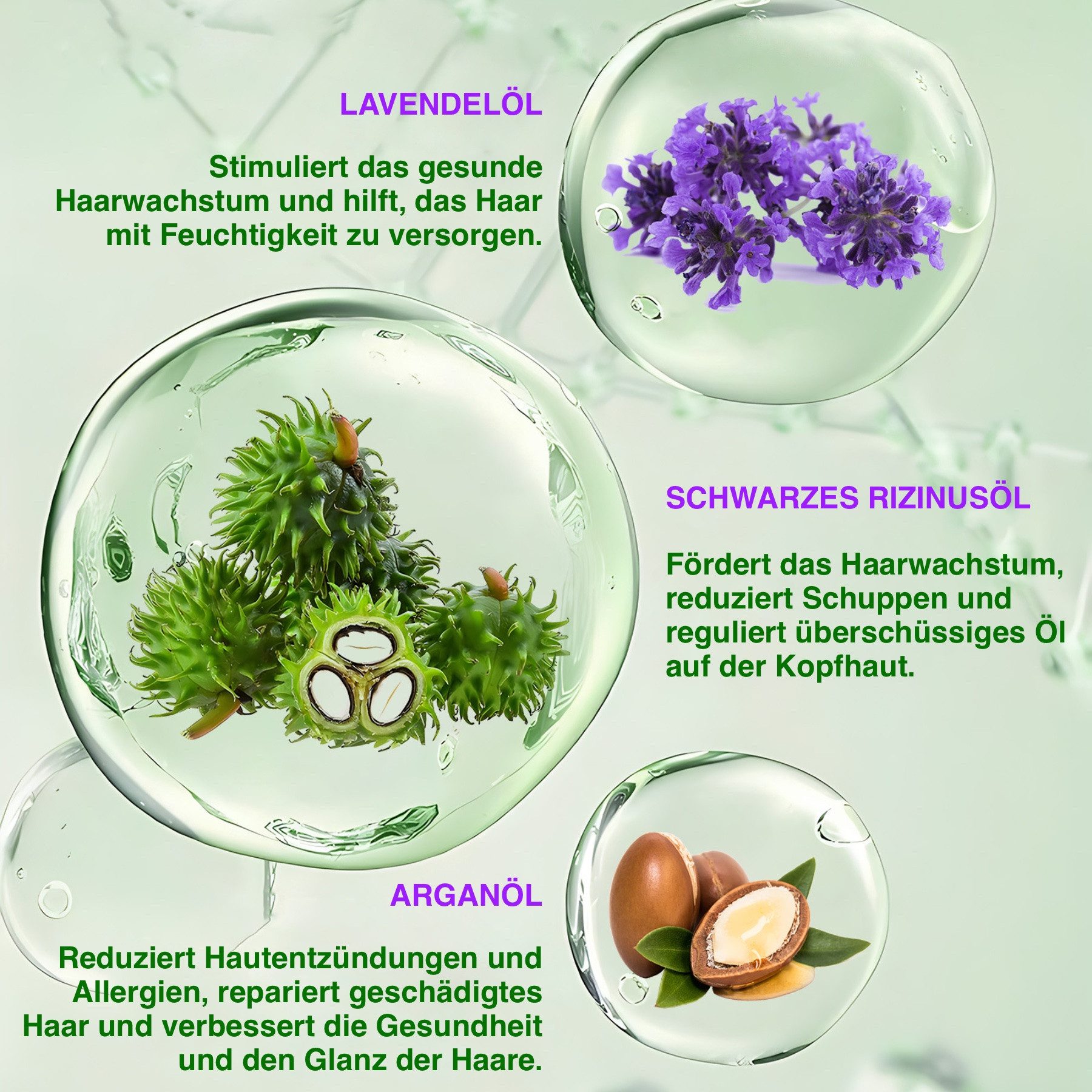ALIVER Haarpflege-Set Shampoo Conditioner Haaröl mit Biotin Rizinus Lavendel Argan Öl