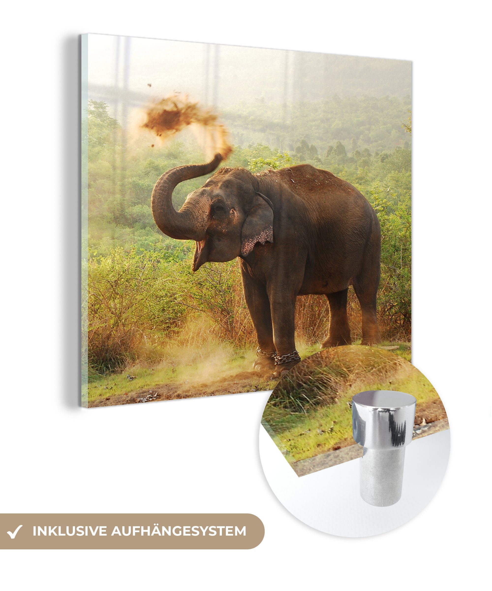 auf - auf Glas St), Foto - - MuchoWow Tiere Bilder Wald Wanddekoration Glasbilder - Acrylglasbild (1 - Glas Elefant - Bäume, Wandbild