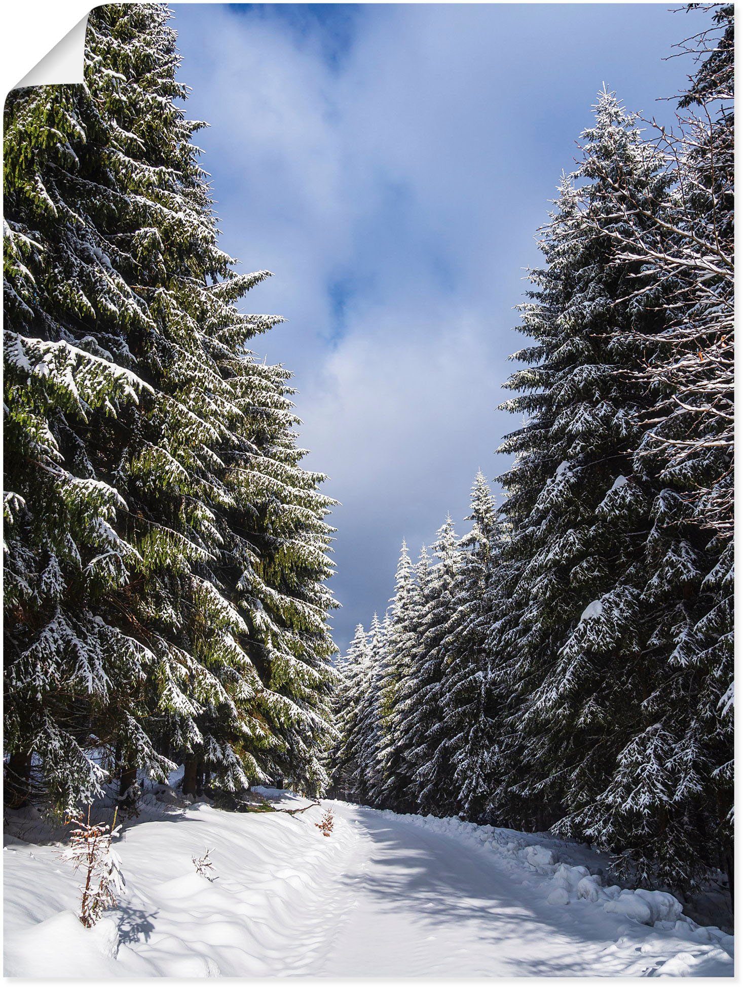 Artland Wandbild Winter im Thüringer Wald in Schmiedefeld, Vier Jahreszeiten Bilder (1 St), als Alubild, Leinwandbild, Wandaufkleber oder Poster in versch. Größen
