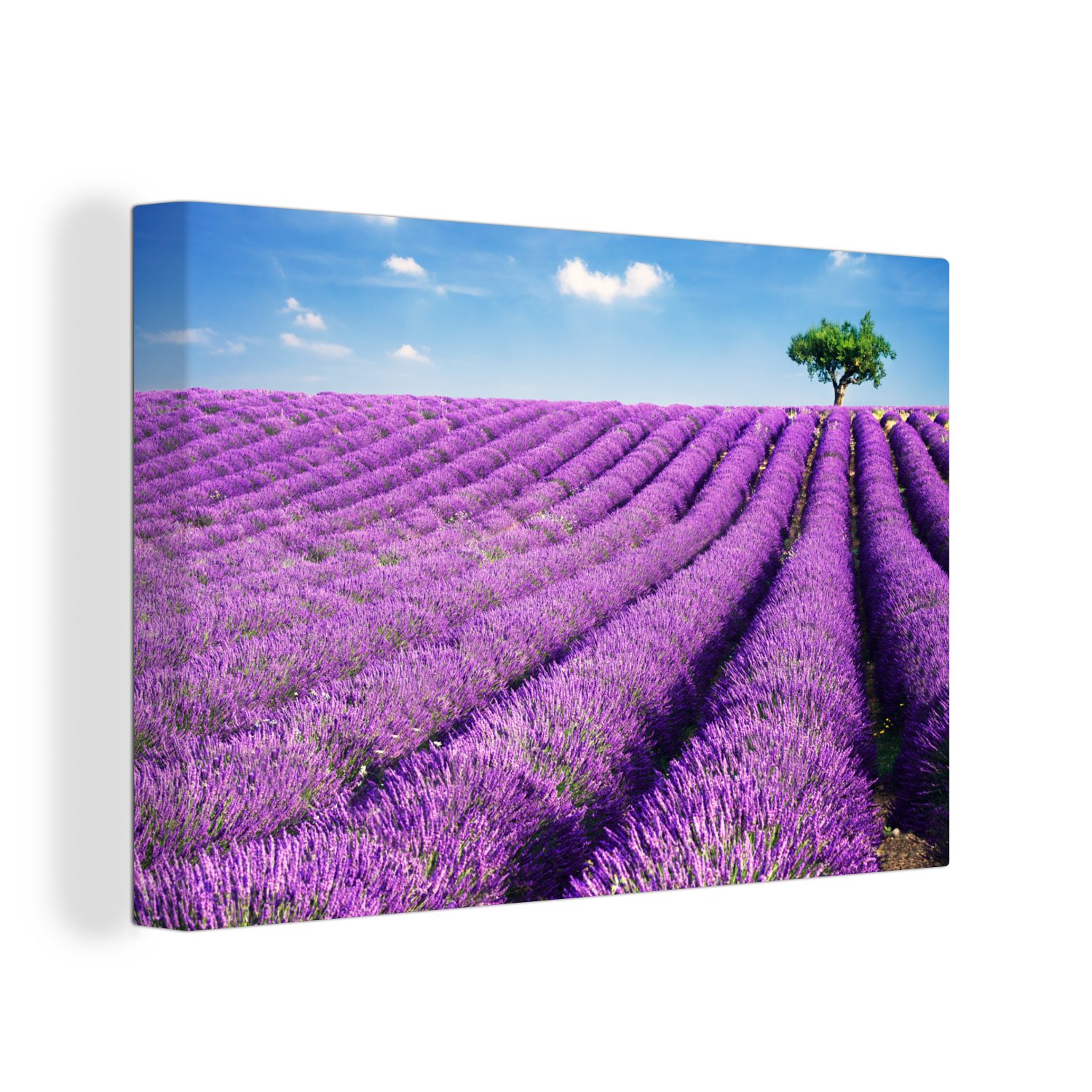 cm Baum Sommer, St), OneMillionCanvasses® 30x20 einem Lavendelfeld (1 Wandbild Wanddeko, Ein mit Aufhängefertig, Leinwandbilder, Leinwandbild im
