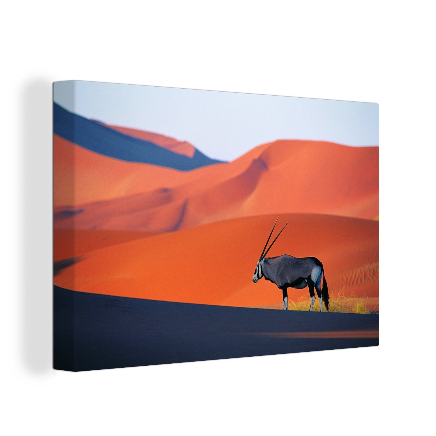 OneMillionCanvasses® Leinwandbild Eine Oryxantilope in der Nähe des Sossusvlei in Namibia, (1 St), Wandbild Leinwandbilder, Aufhängefertig, Wanddeko, 30x20 cm