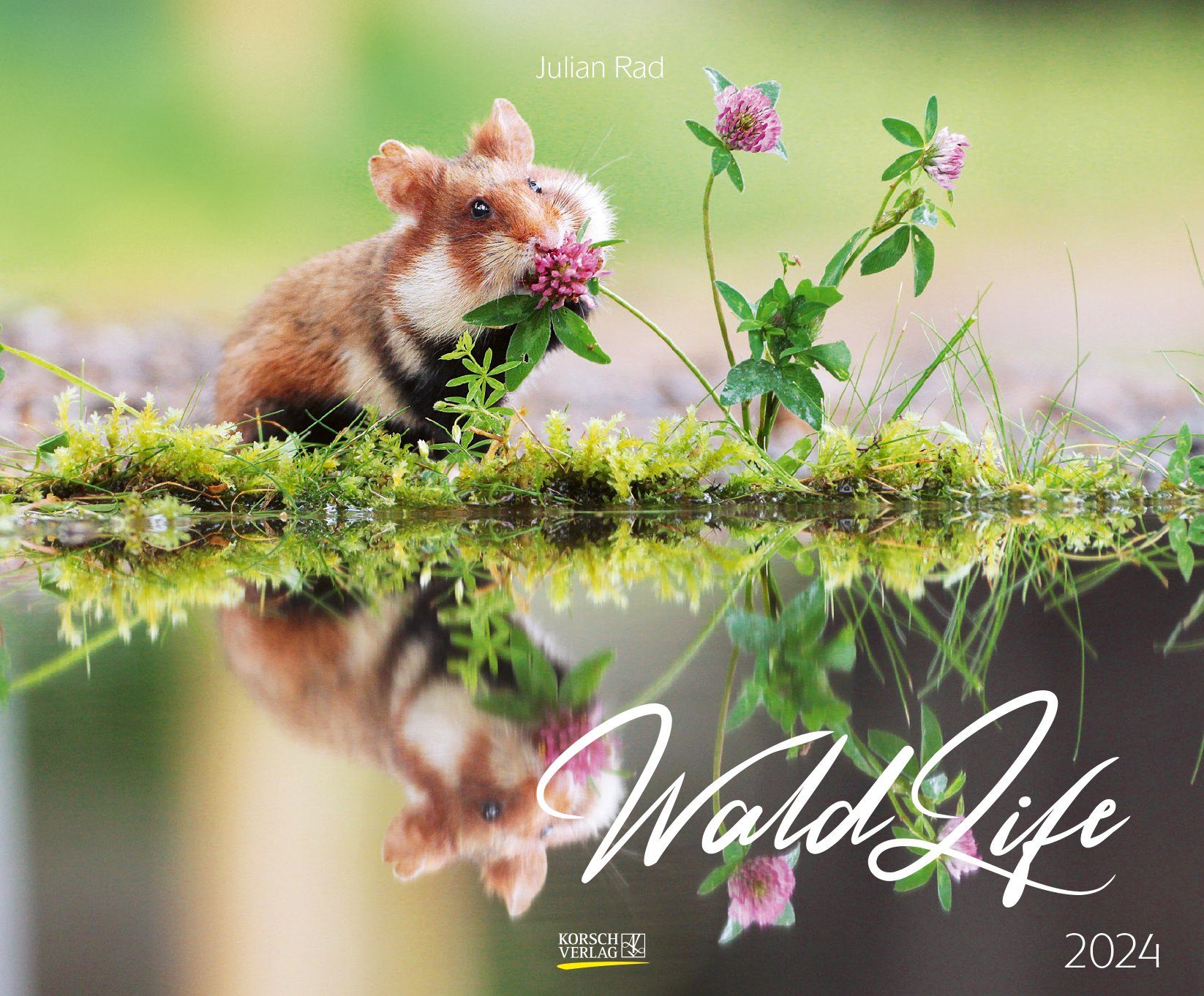 Korsch Verlag Naturkalender Korsch Verlag Kalender WaldLife 2024