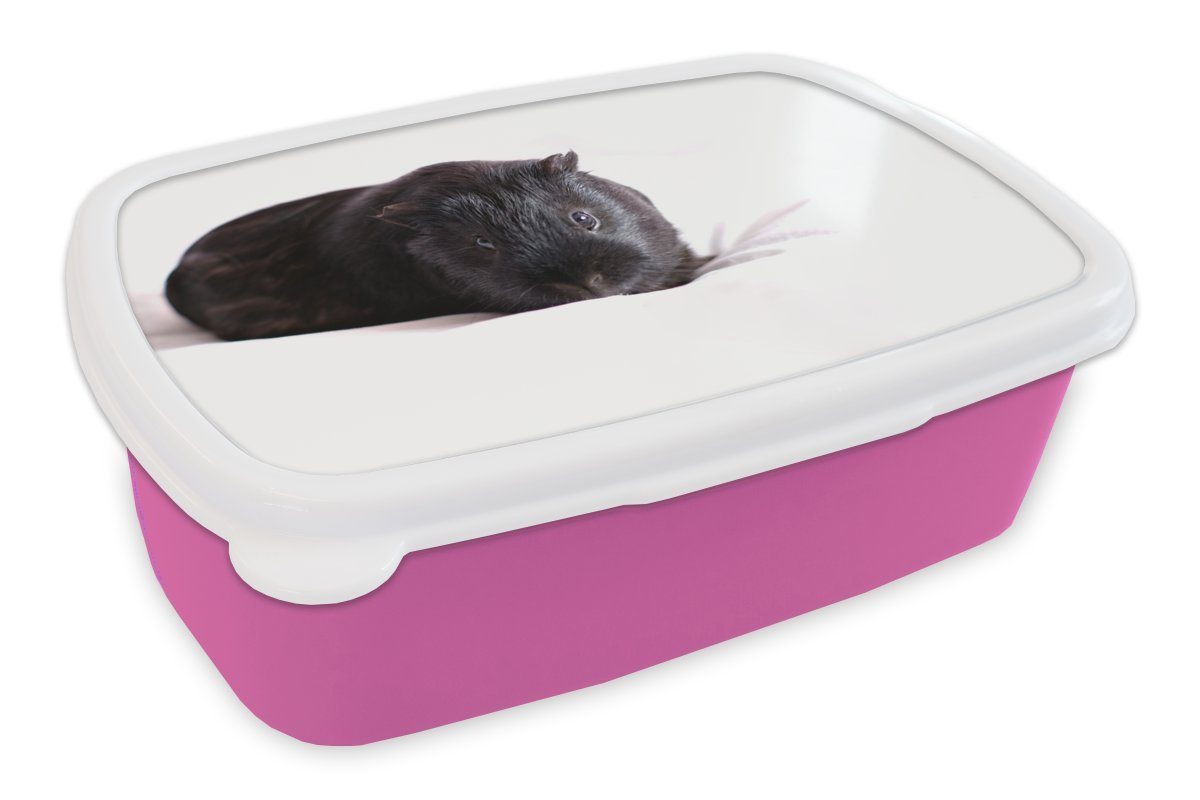 MuchoWow Lunchbox Schwarzes Meerschweinchen, Kunststoff, (2-tlg), Brotbox für Erwachsene, Brotdose Kinder, Snackbox, Mädchen, Kunststoff rosa