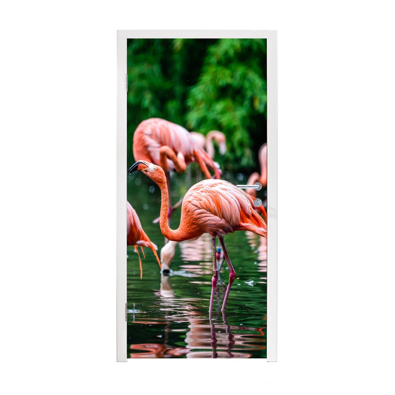 MuchoWow Türtapete Flamingo - Tropisch - Vogel - Wasser - Rosa, Matt, bedruckt, (1 St), Fototapete für Tür, Türaufkleber, 75x205 cm