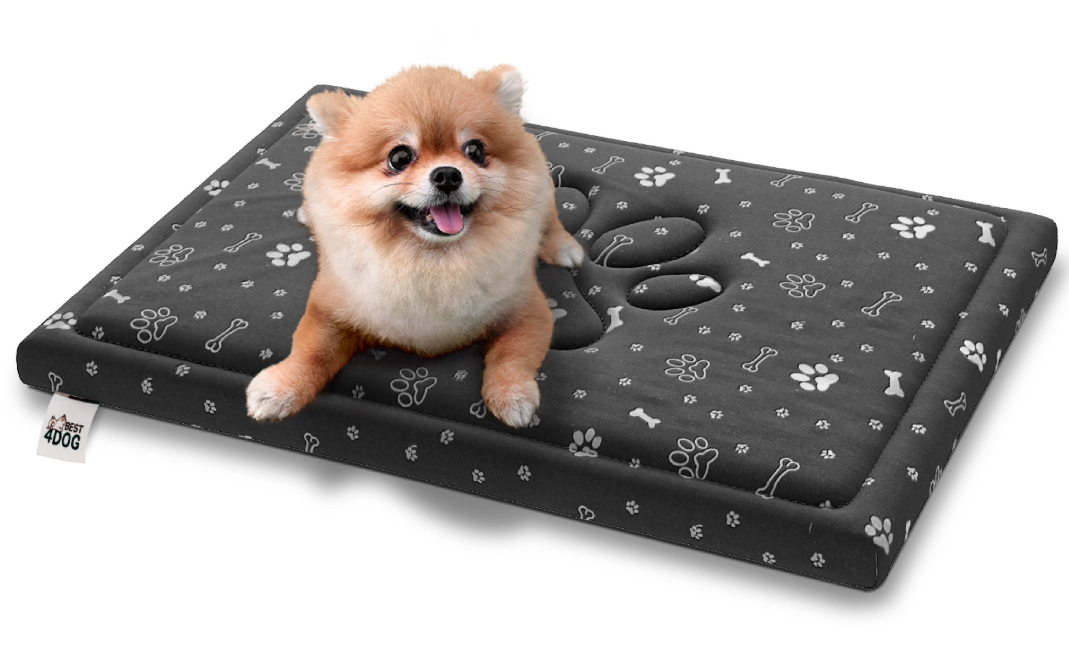 FDM Hundematratze FIFI Hundebett Hundematte 60x70, 70x100 cm Hundekissen Tierkissen, Tierbett Tiermatte wasserdicht Bezug abnehmbar und waschbar