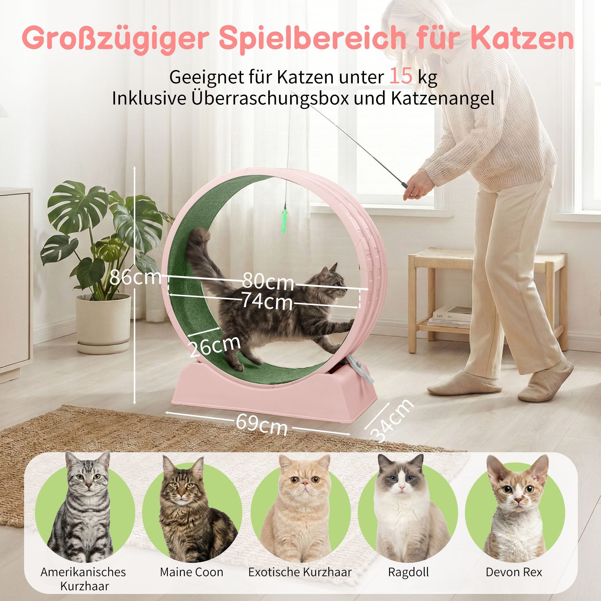 LALAHO Tier-Intelligenzspielzeug Katzenlaufband, leise Laufband für Katzen, PP-Kunststoff, Innendurchmesser 80cm, Sicherheitsschloss-Design, Rosa