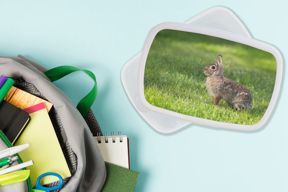 MuchoWow Lunchbox Kaninchen weiß Brotdose, Mädchen und - Jungs Kunststoff, Brotbox Tier, - Erwachsene, für Gras und (2-tlg), für Kinder