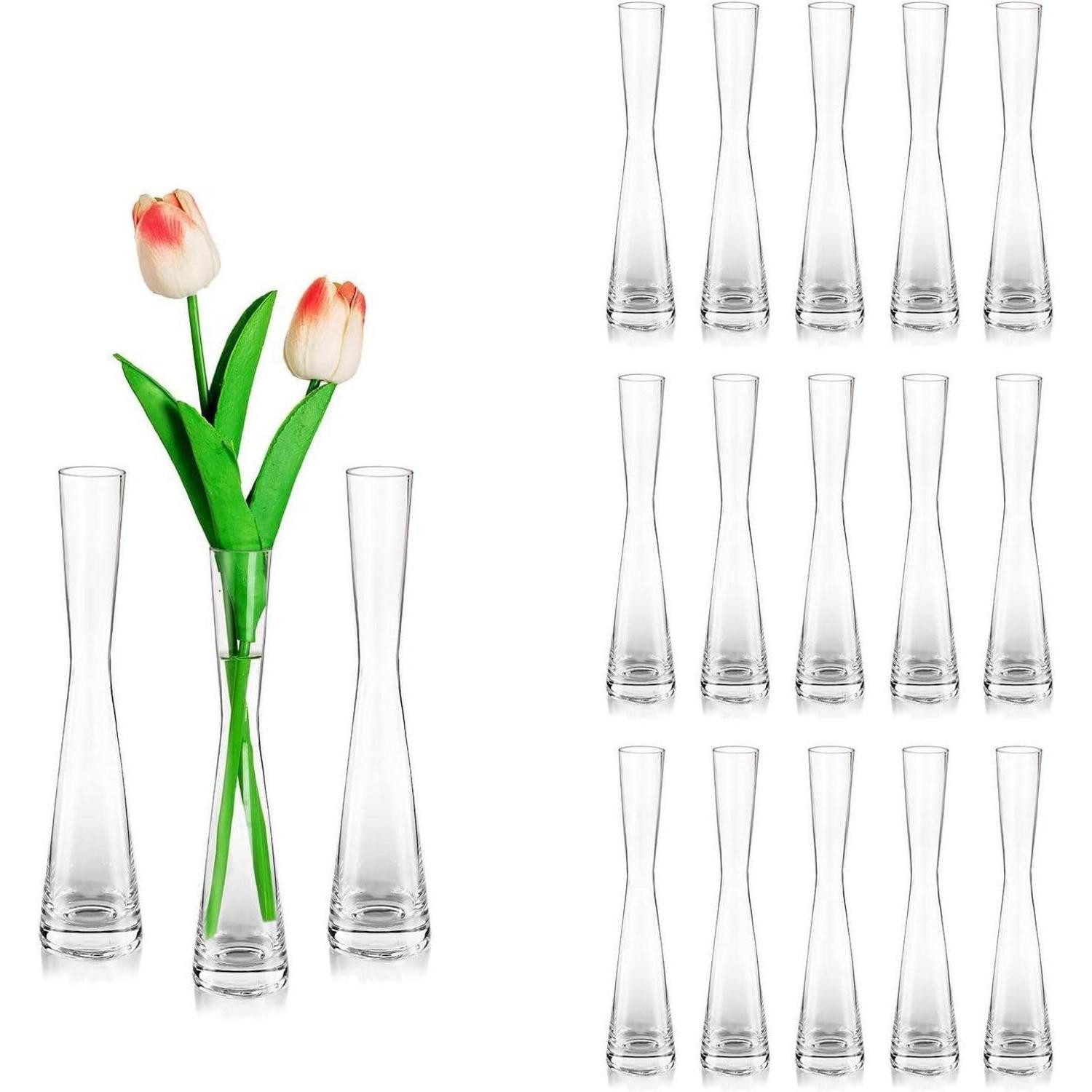 LuxusKollektion Glas Blumenvase Glas schmal Tulpenvase Pampasgras 18 20cm