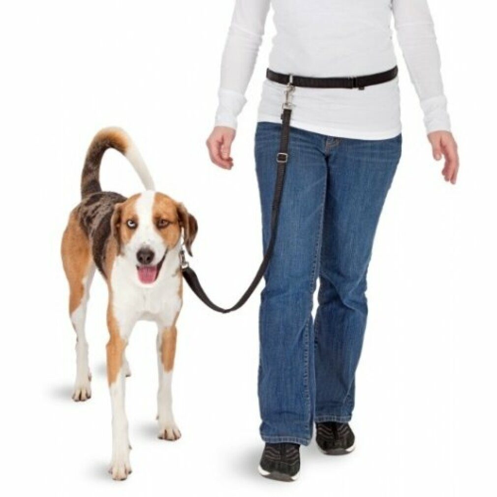 Pawise Hundeleine Hands Free Doggy Bike Jogger Kit, (Packung)