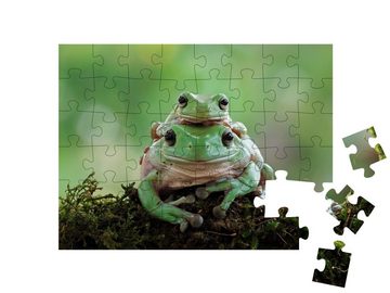 puzzleYOU Puzzle Weiblicher weißer Laubfrosch mit Jungtier, 48 Puzzleteile, puzzleYOU-Kollektionen Frösche, 48 Teile, Insekten & Kleintiere