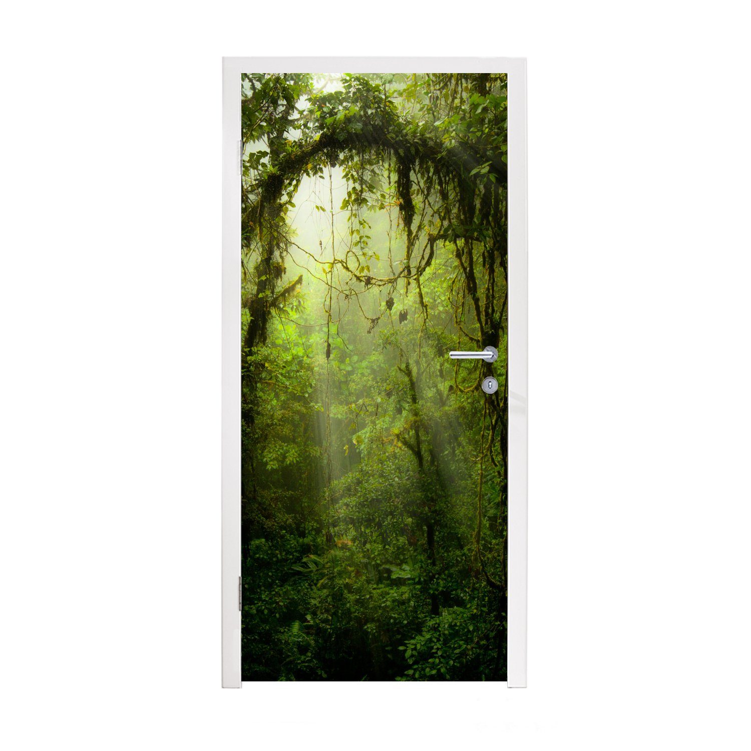 MuchoWow Türtapete Grün getöntes Bild des Regenwaldes von Costa Rica, Matt, bedruckt, (1 St), Fototapete für Tür, Türaufkleber, 75x205 cm