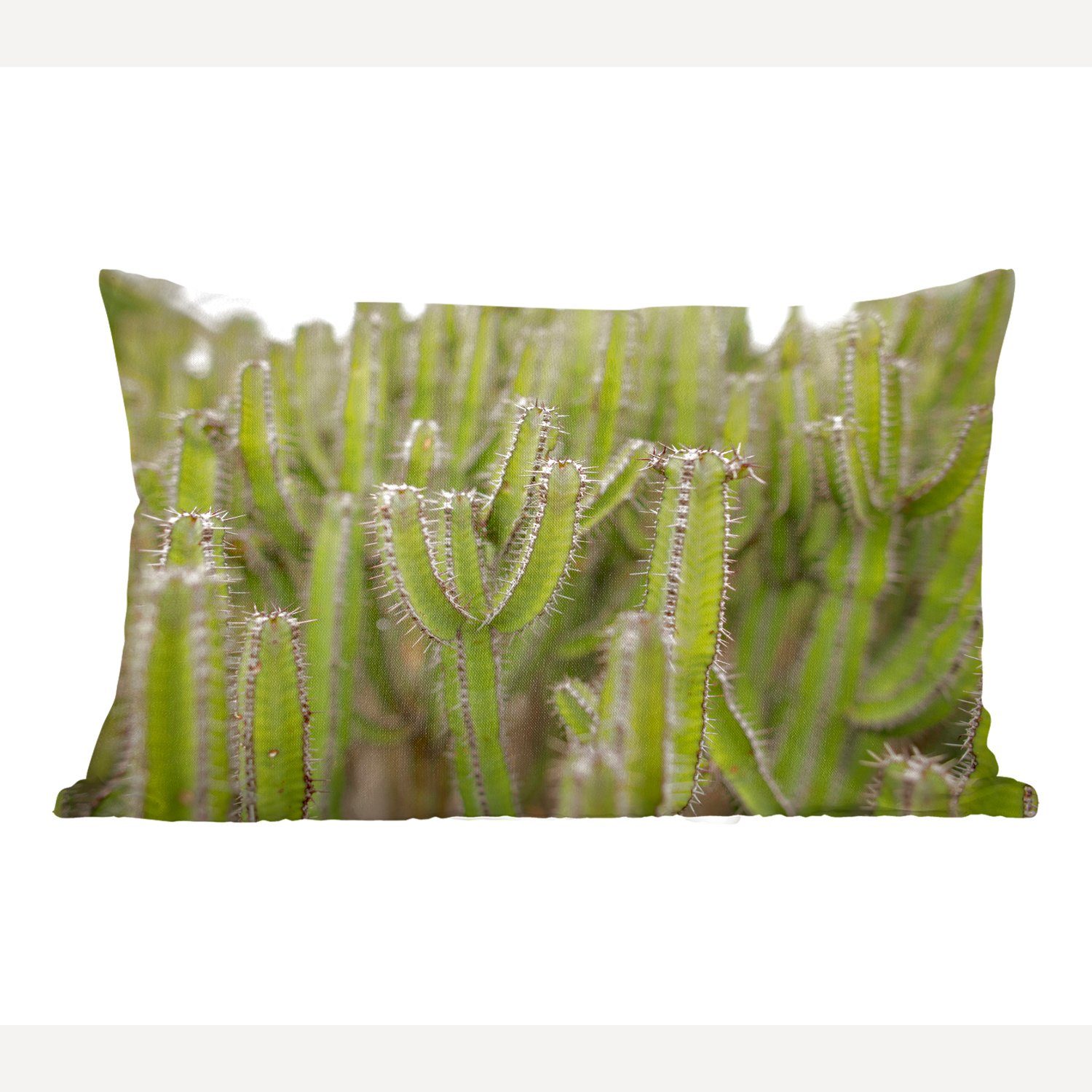 mit Kaktuspflanzen, MuchoWow von Füllung, Wohzimmer Zierkissen, Gruppe Dekoration, Dekokissen Dekokissen Schlafzimmer