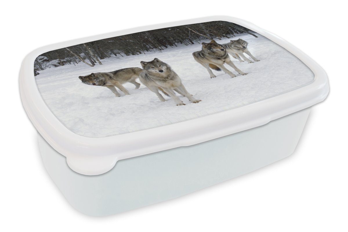 MuchoWow Lunchbox Wolf - Schnee - Kanada, Kunststoff, (2-tlg), Brotbox für Kinder und Erwachsene, Brotdose, für Jungs und Mädchen weiß