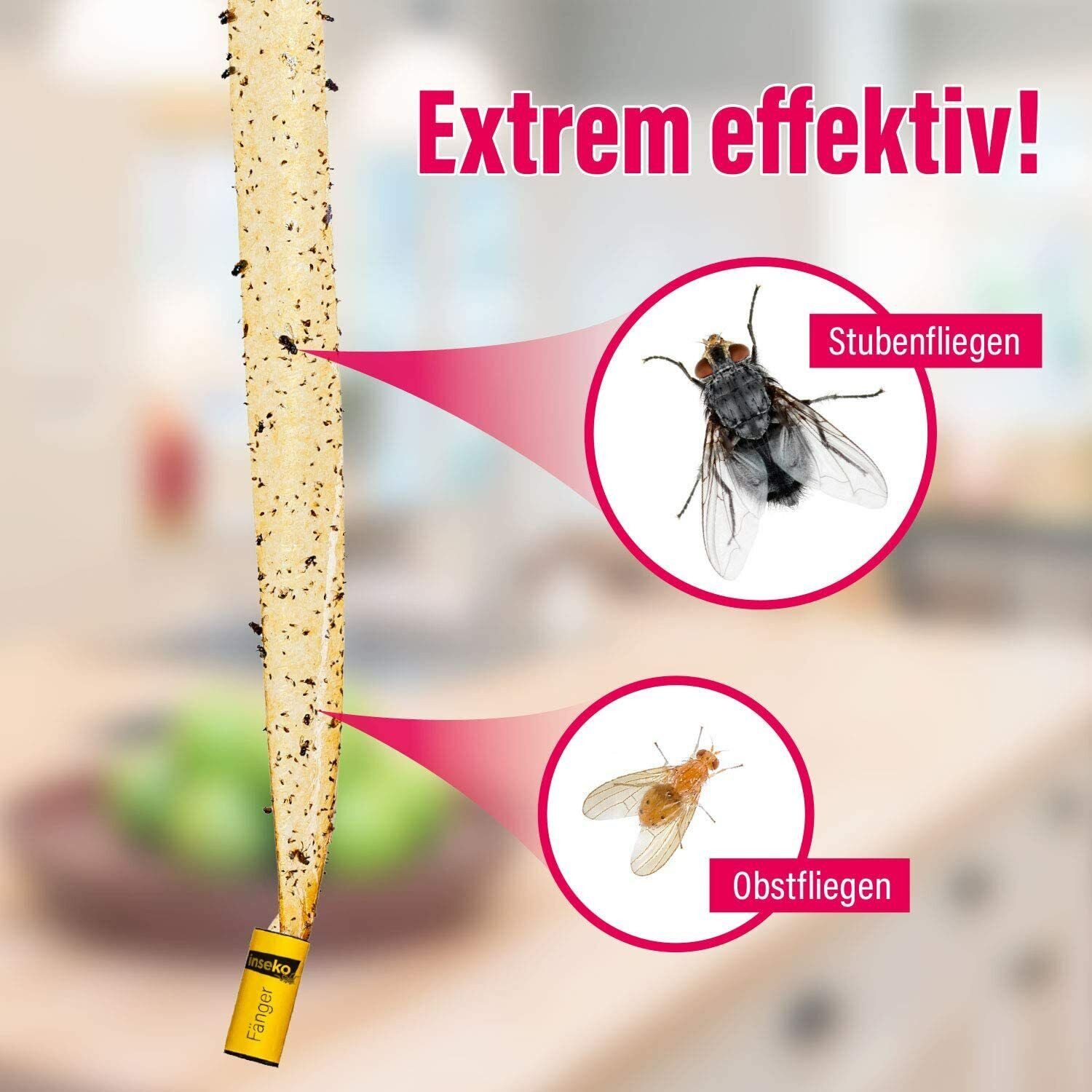 Inseko Insektenfalle 16 x inseko Fliegenfalle I Premium Fliegenfänger I Fruchtfliegenfalle, umweltfreundlich & giftfrei