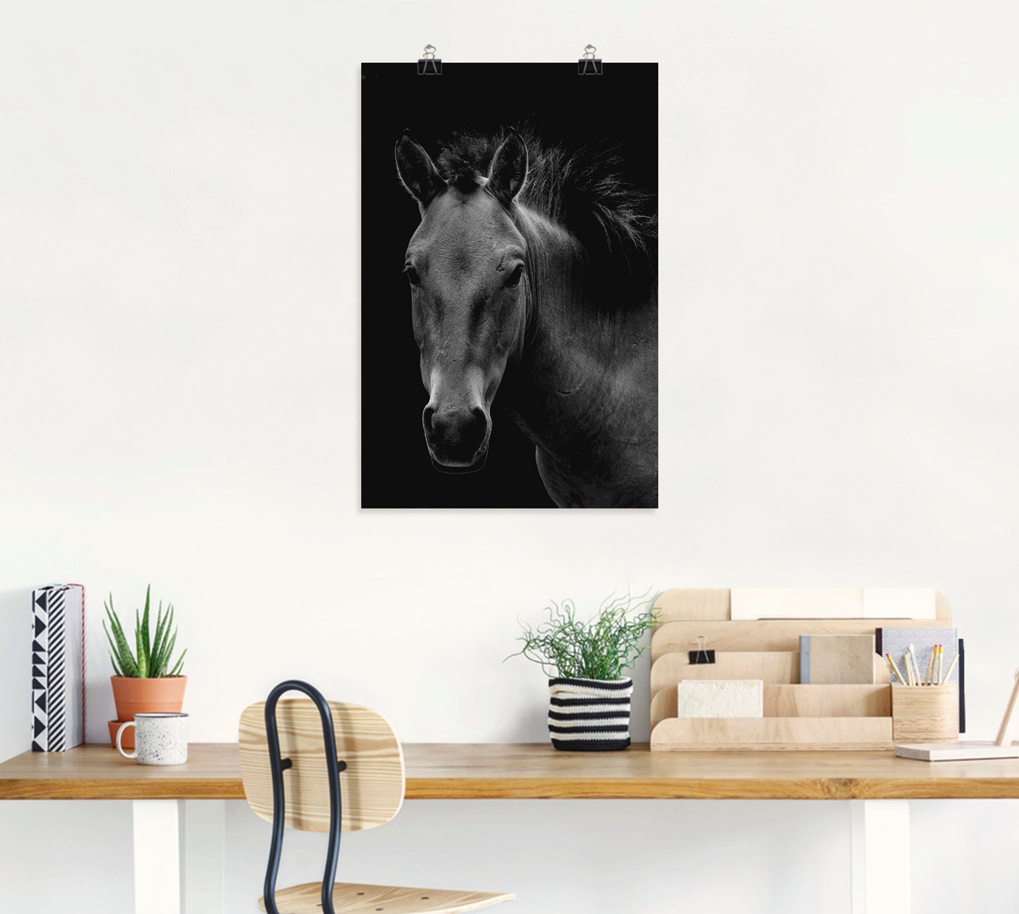 Artland Pferdebilder Leinwandbild, (1 oder Größen in versch. Poster Wandaufkleber Wildpferd, Alubild, als St), Wandbild