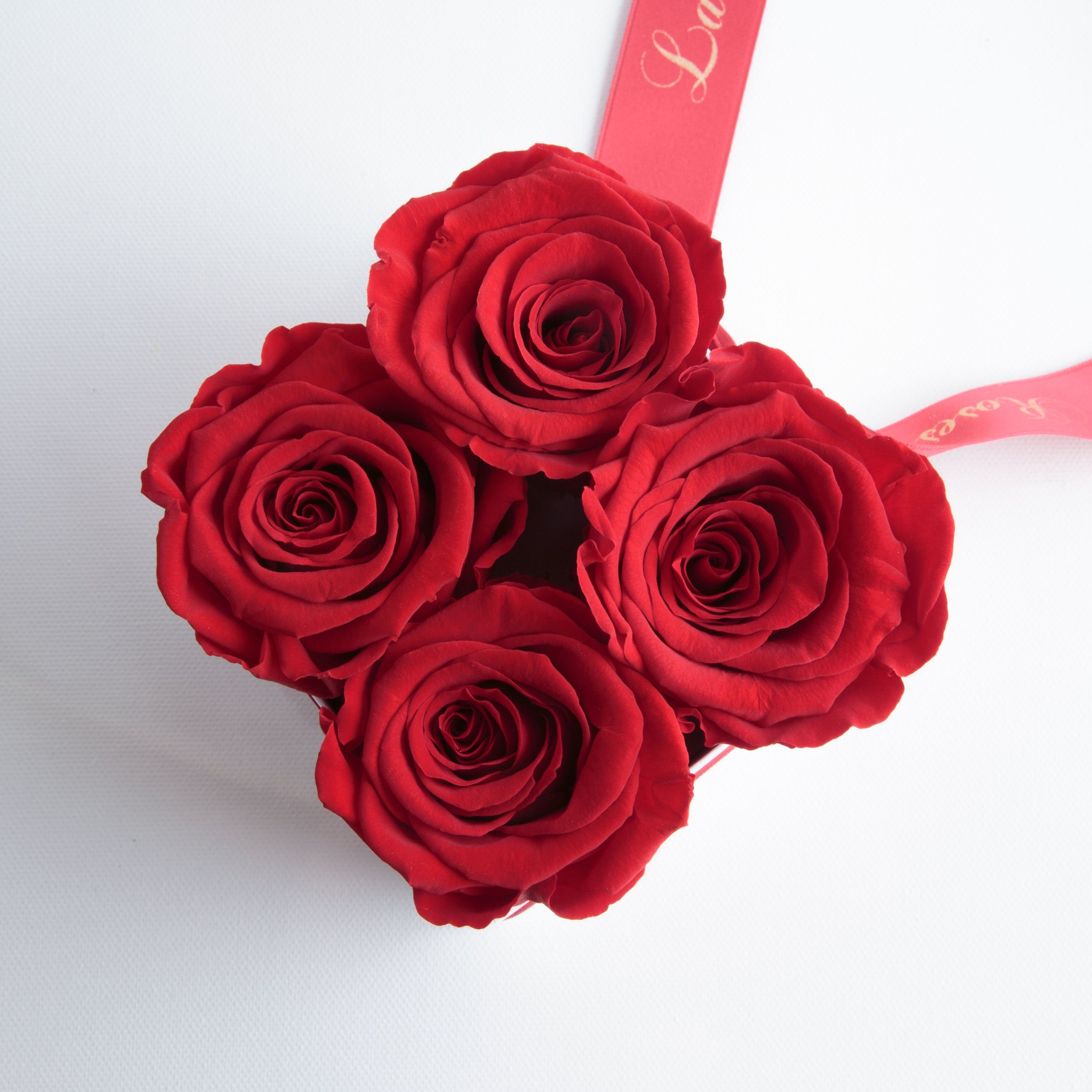 Kunstblume Rosenbox weiß Infinity Rosen Valentinstag 8.5 Rose, Höhe Poesie ROSEMARIE Deko cm, für für Frauen Heidelberg, Damen Geschenk rot zum SCHULZ