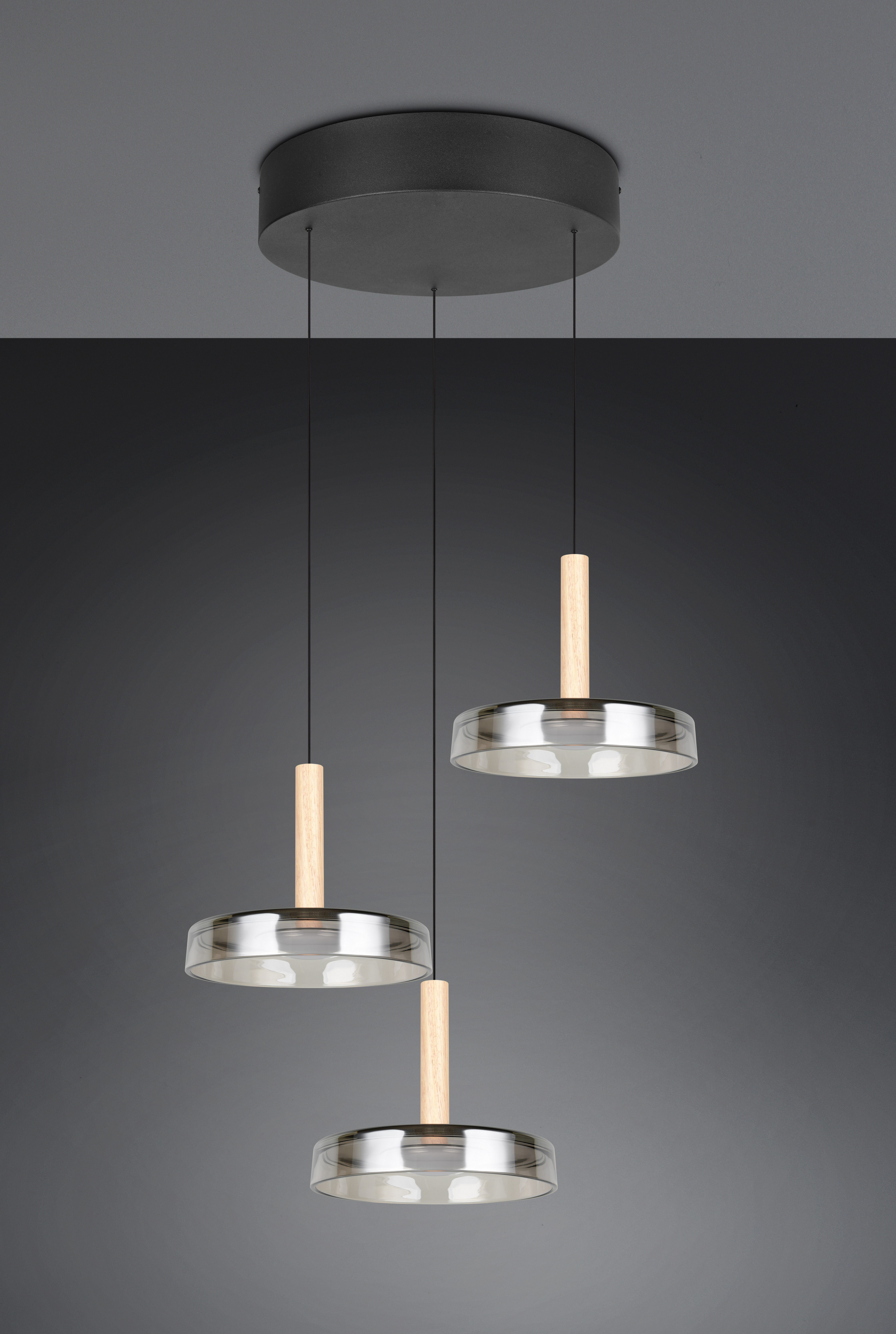 TRIO Leuchten LED Pendelleuchte CELESTE dimmbare günstig online kaufen