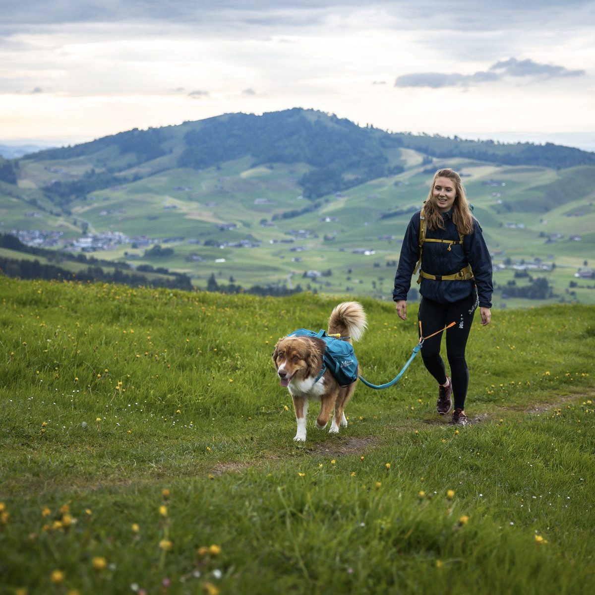 Non-stop dogwear Hunde-Geschirr Hunderucksack Trail Dog Backpack teal