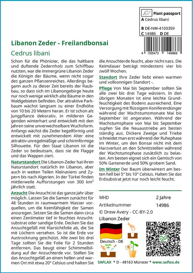 Thumbnail - SAFLAX Blumensamen SAFLAX - Samen - Libanon Zeder