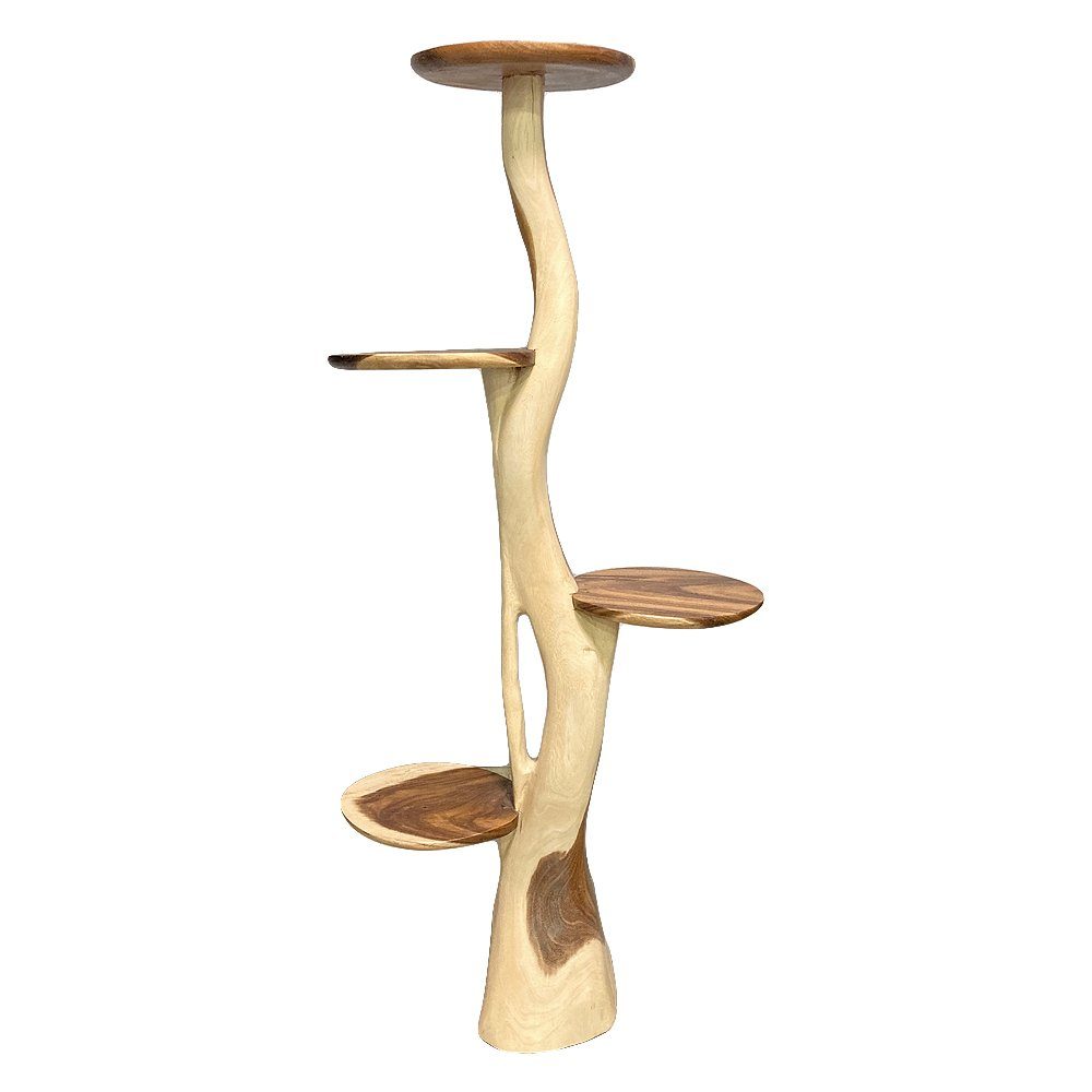 LebensWohnArt Regal Deko Baum KAKTUS mit Ablagen ca. H200cm Suar
