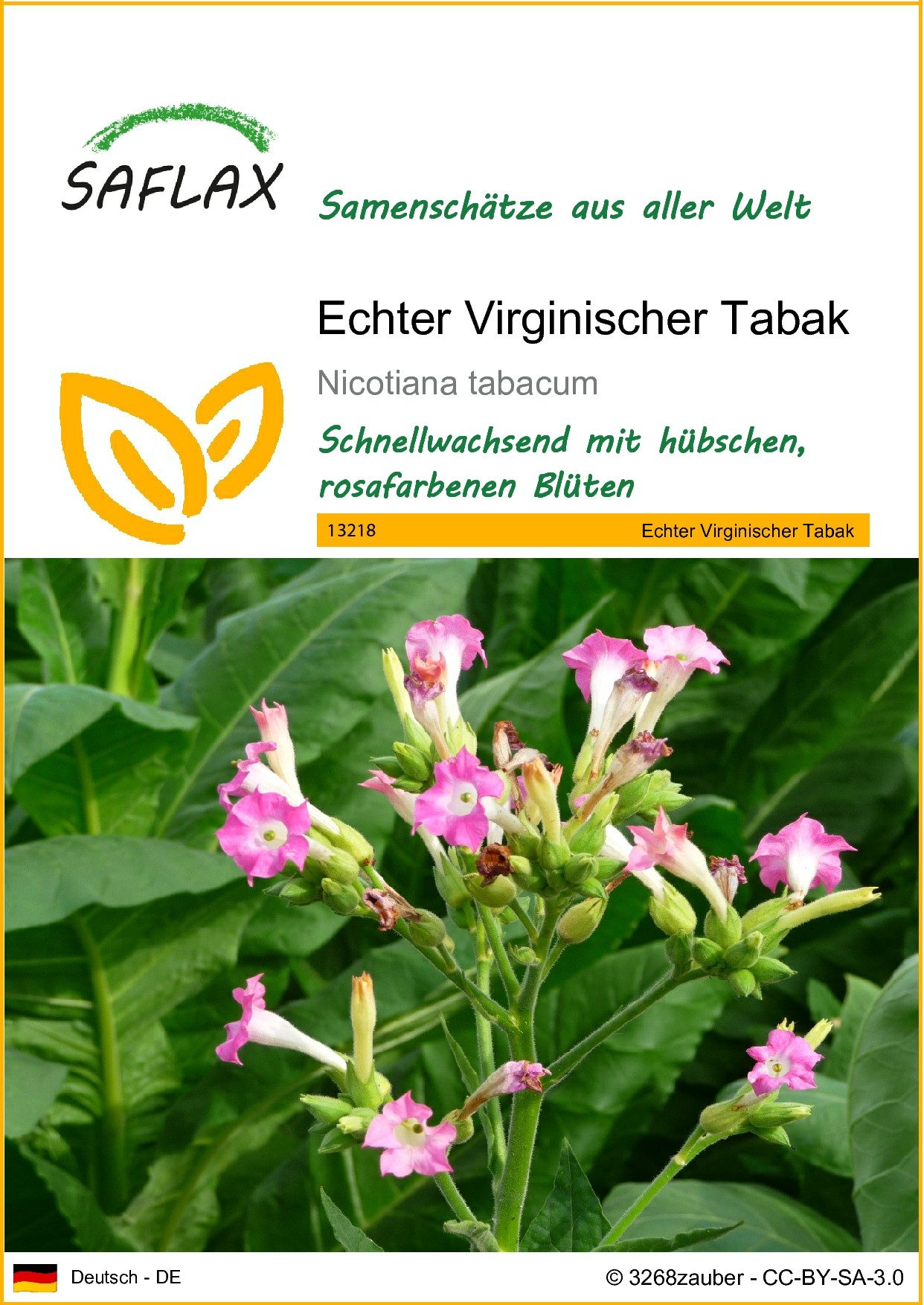 SAFLAX Blumensamen SAFLAX - Samen - Echter Virginischer Tabak