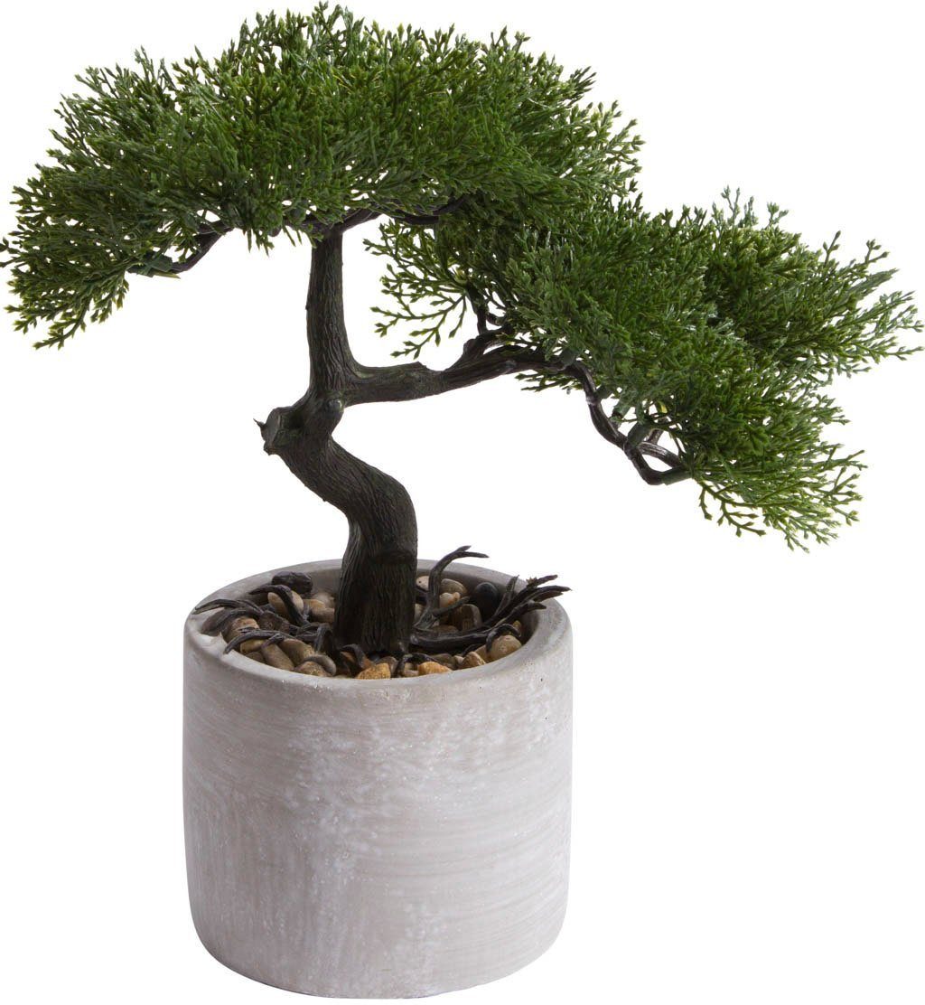 Kunstbonsai Ceder 25 Höhe Botanic-Haus, Bonsai Ceder, cm