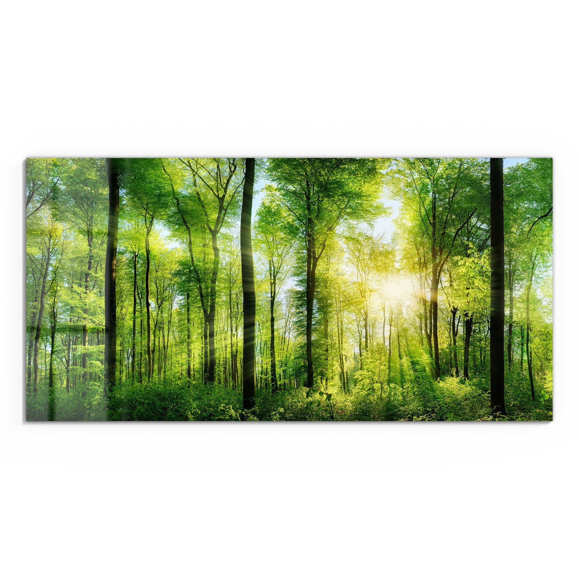 DEQORI Glasbild 'Sonne durchbricht Wald', 'Sonne günstig online kaufen
