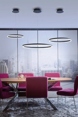 Paul Neuhaus LED Pendelleuchte TITUS, Dimmfunktion, Memoryfunktion, LED fest integriert, Warmweiß, Hängeleuchte, Stufenlos dimmbar über vorhandenen Wandschalter