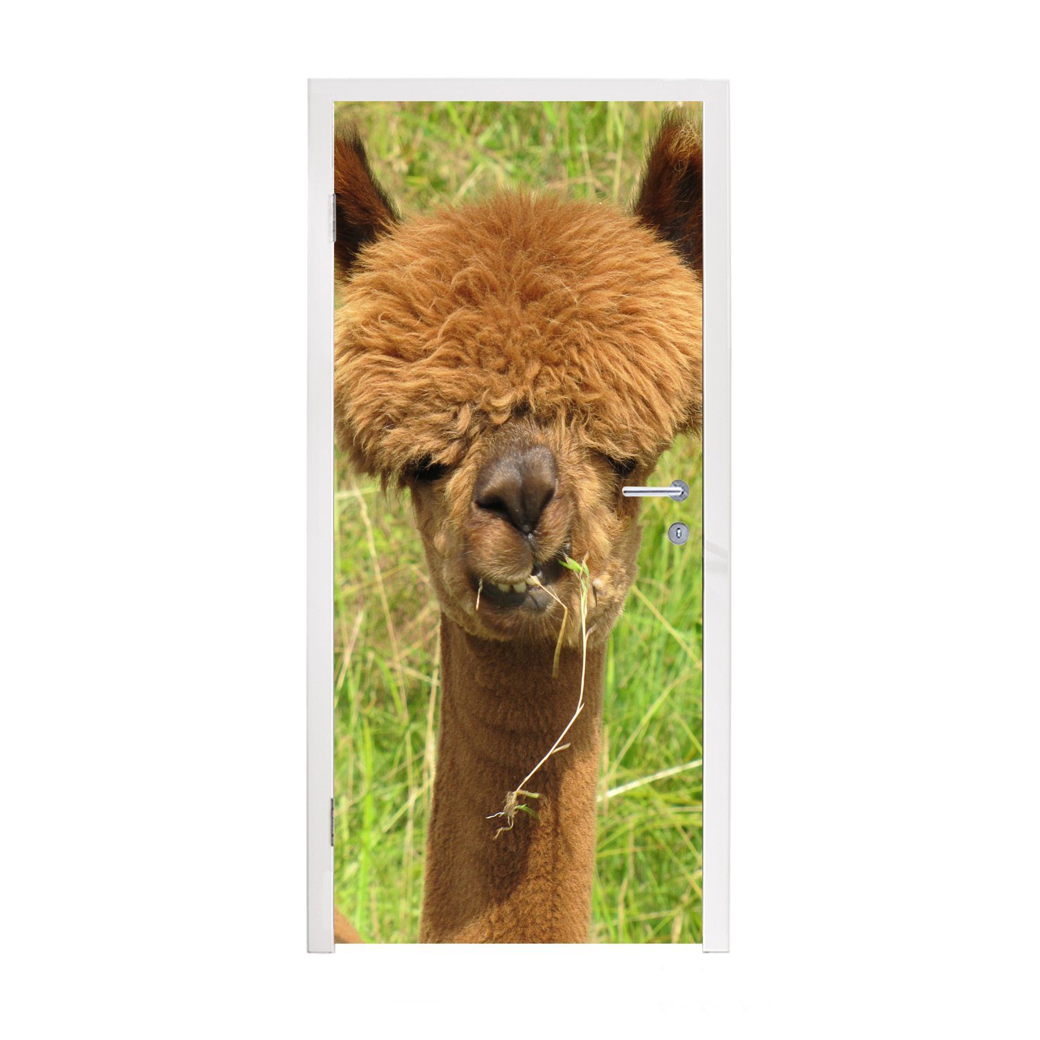 MuchoWow Türtapete Alpaka - Gras - Haare, Matt, bedruckt, (1 St), Fototapete für Tür, Türaufkleber, 75x205 cm