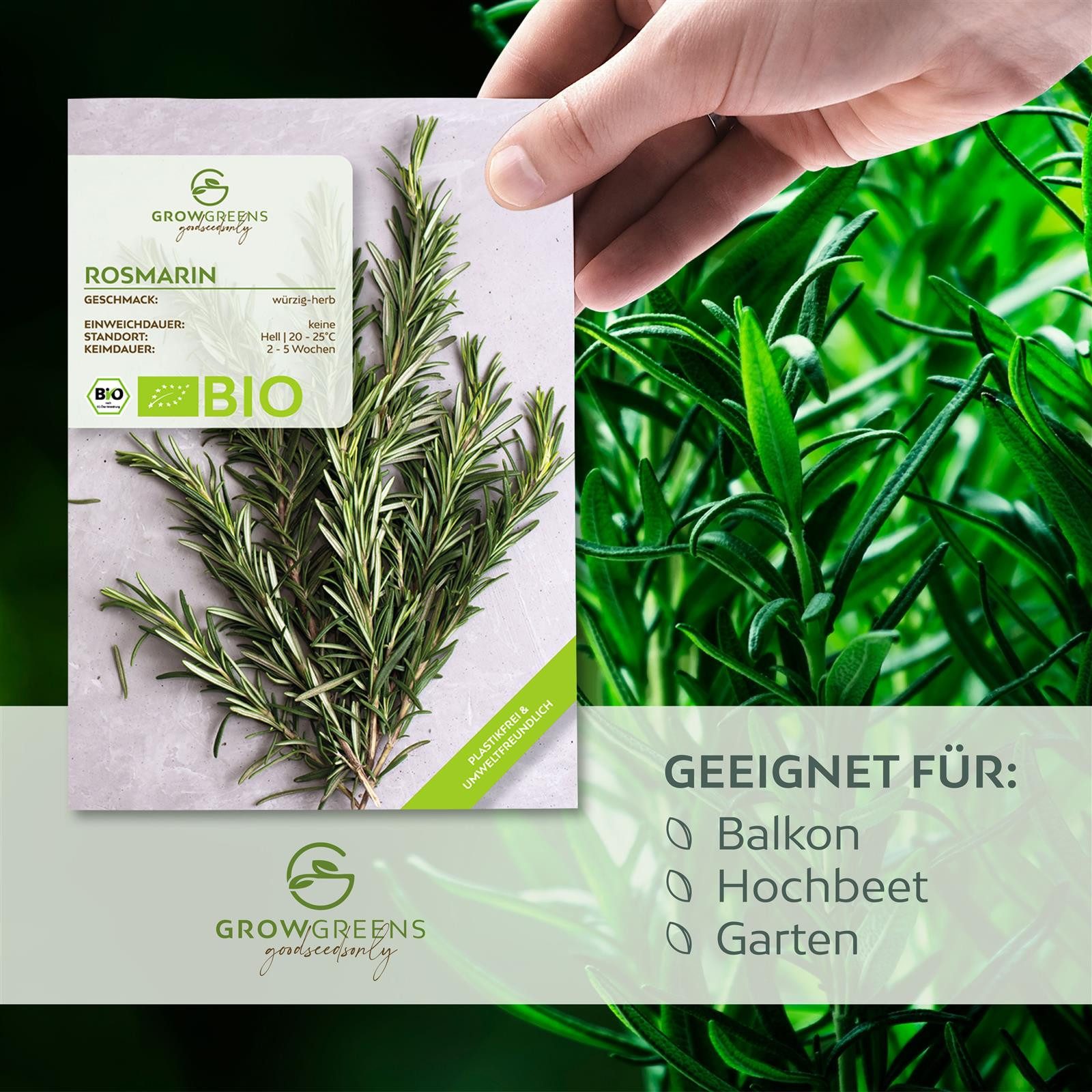 Growgreens Kräutersamen BIO Rosmarin Samen - Heilkräuter Saatgut aus bio. Anbau (40 Korn) – Bild 4 von 5