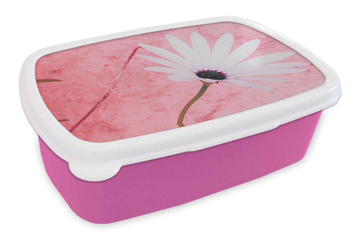 MuchoWow Lunchbox Blumen - Rosa - Vintage, Kunststoff, (2-tlg), Brotbox für Erwachsene, Brotdose Kinder, Snackbox, Mädchen, Kunststoff